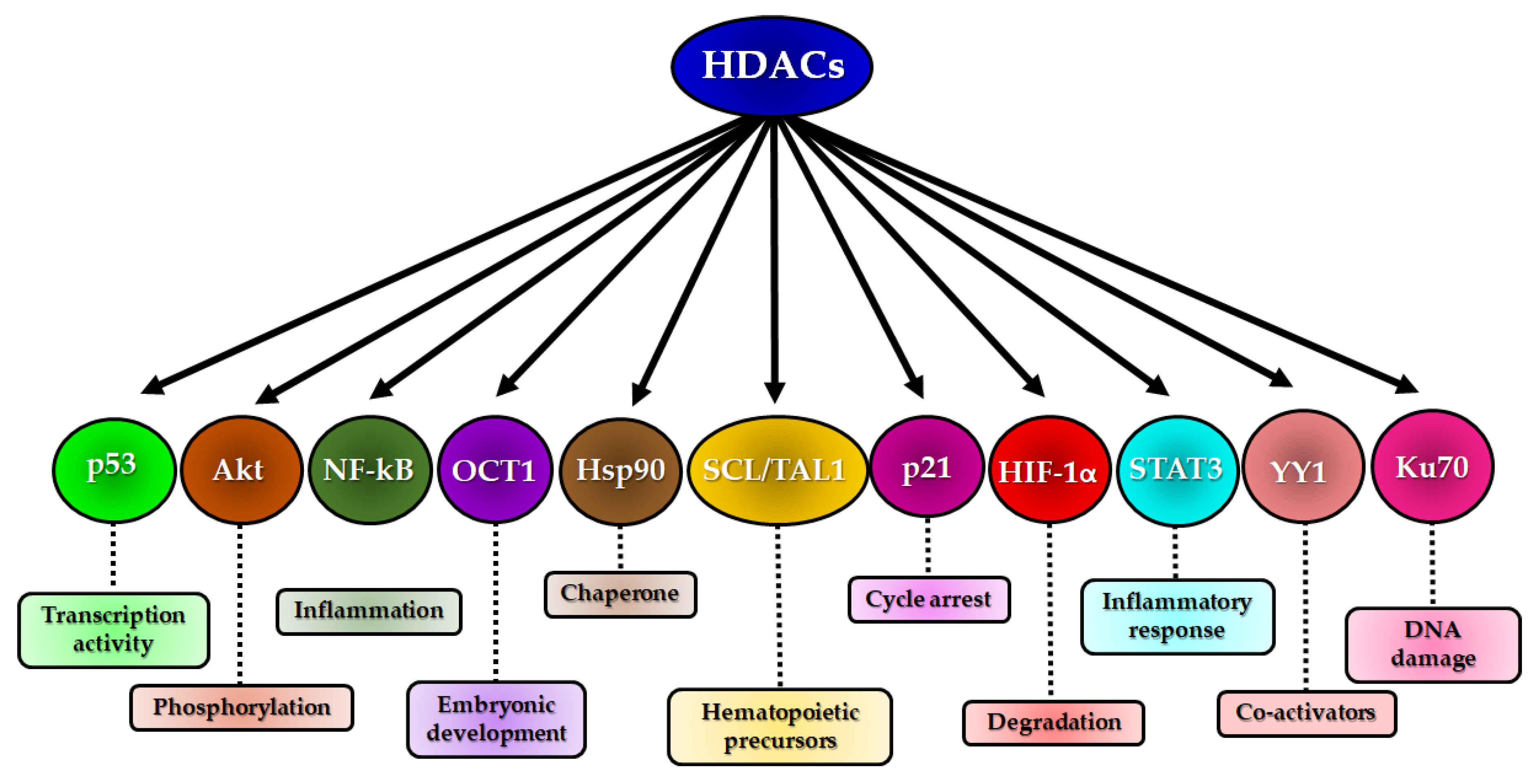 Cancers 12 01664 g004