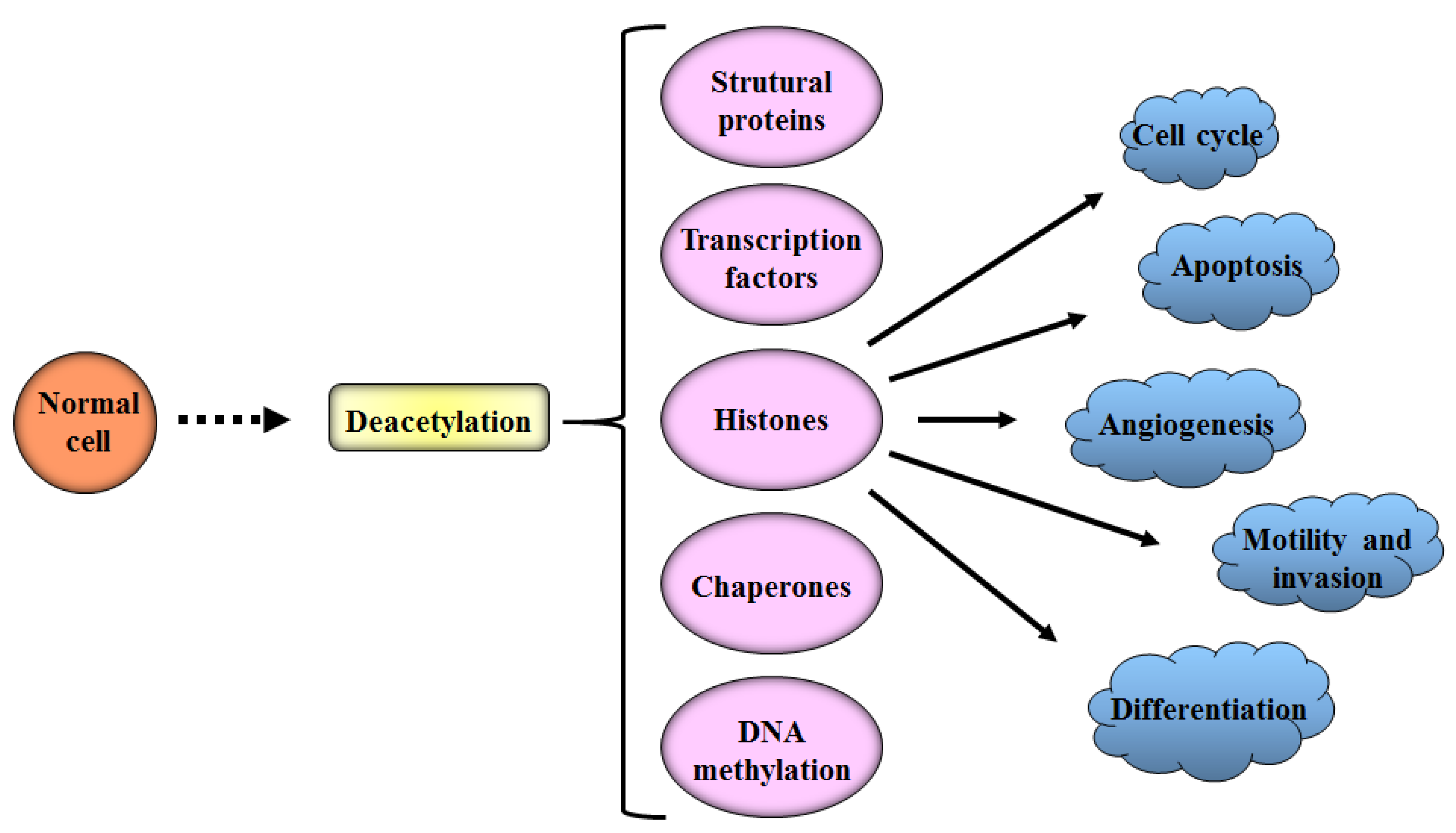 Cancers 12 01664 g005