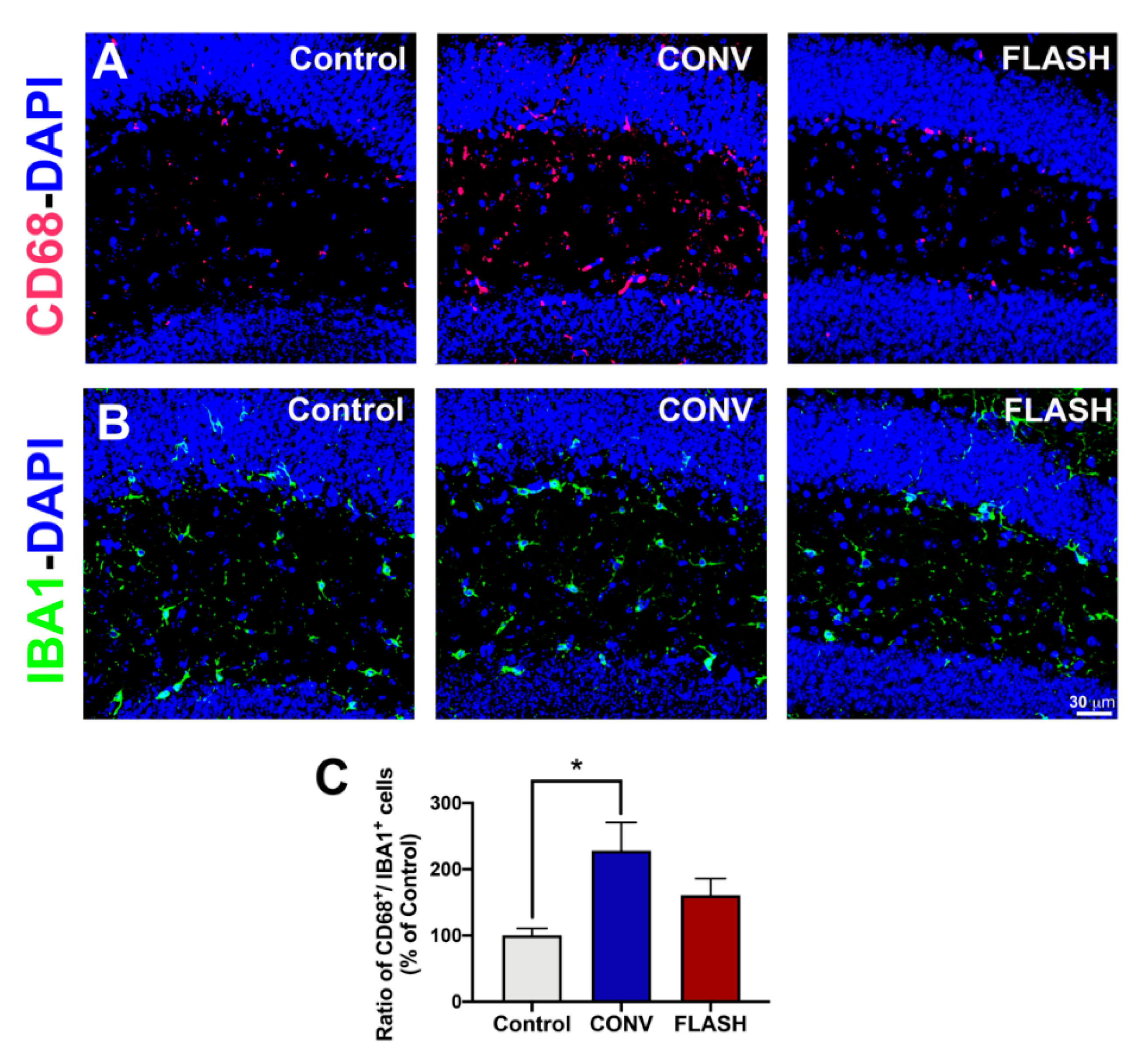 Cancers 12 01671 g007 Cancers 12 01671 g007