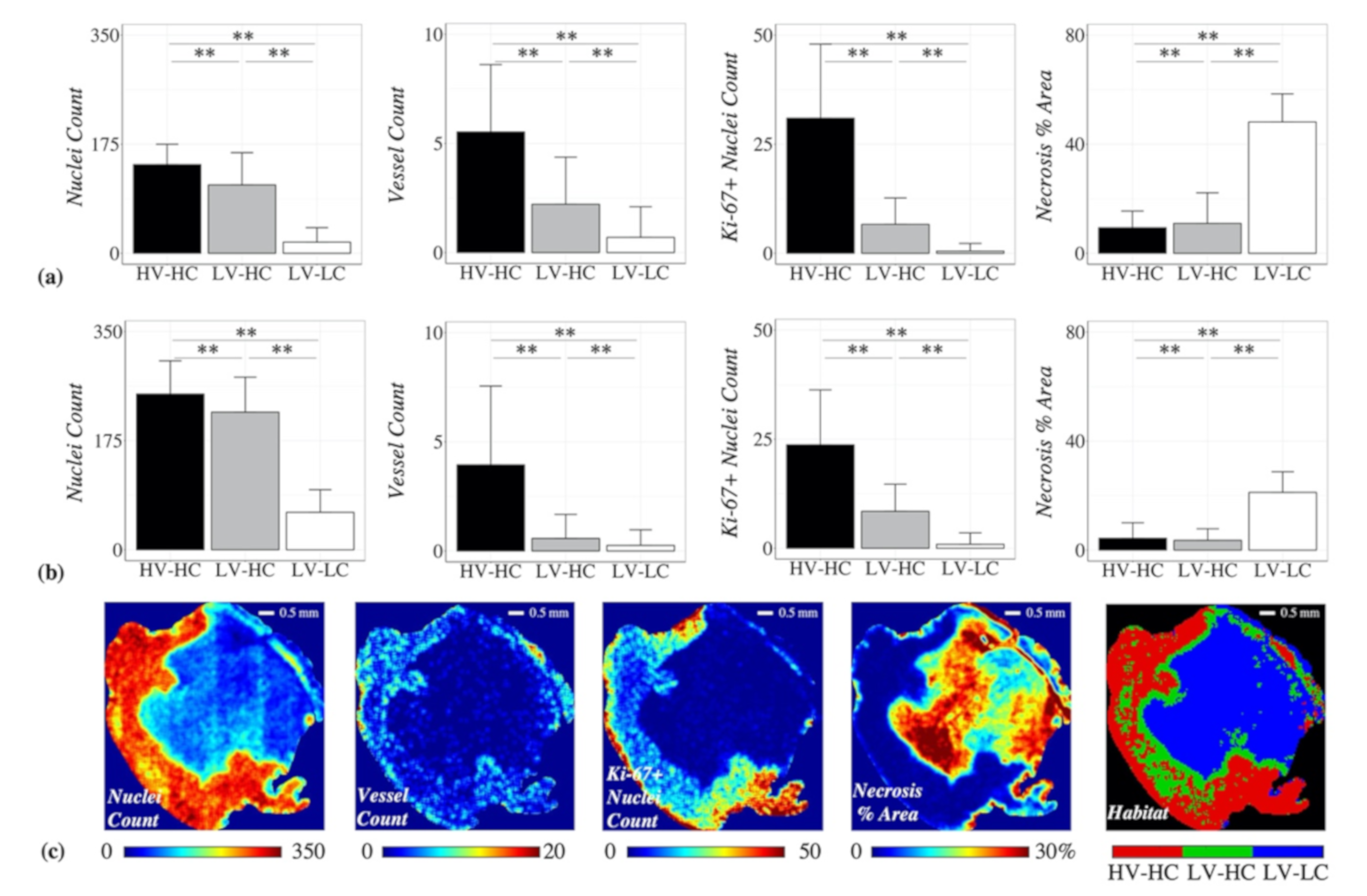 Cancers 12 01682 g004 Cancers 12 01682 g004
