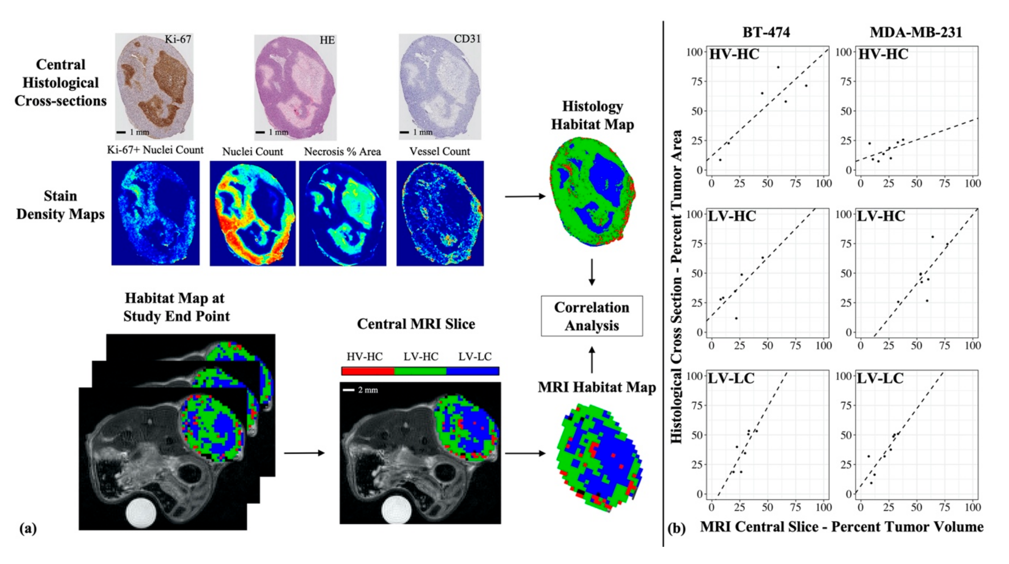 Cancers 12 01682 g005 Cancers 12 01682 g005