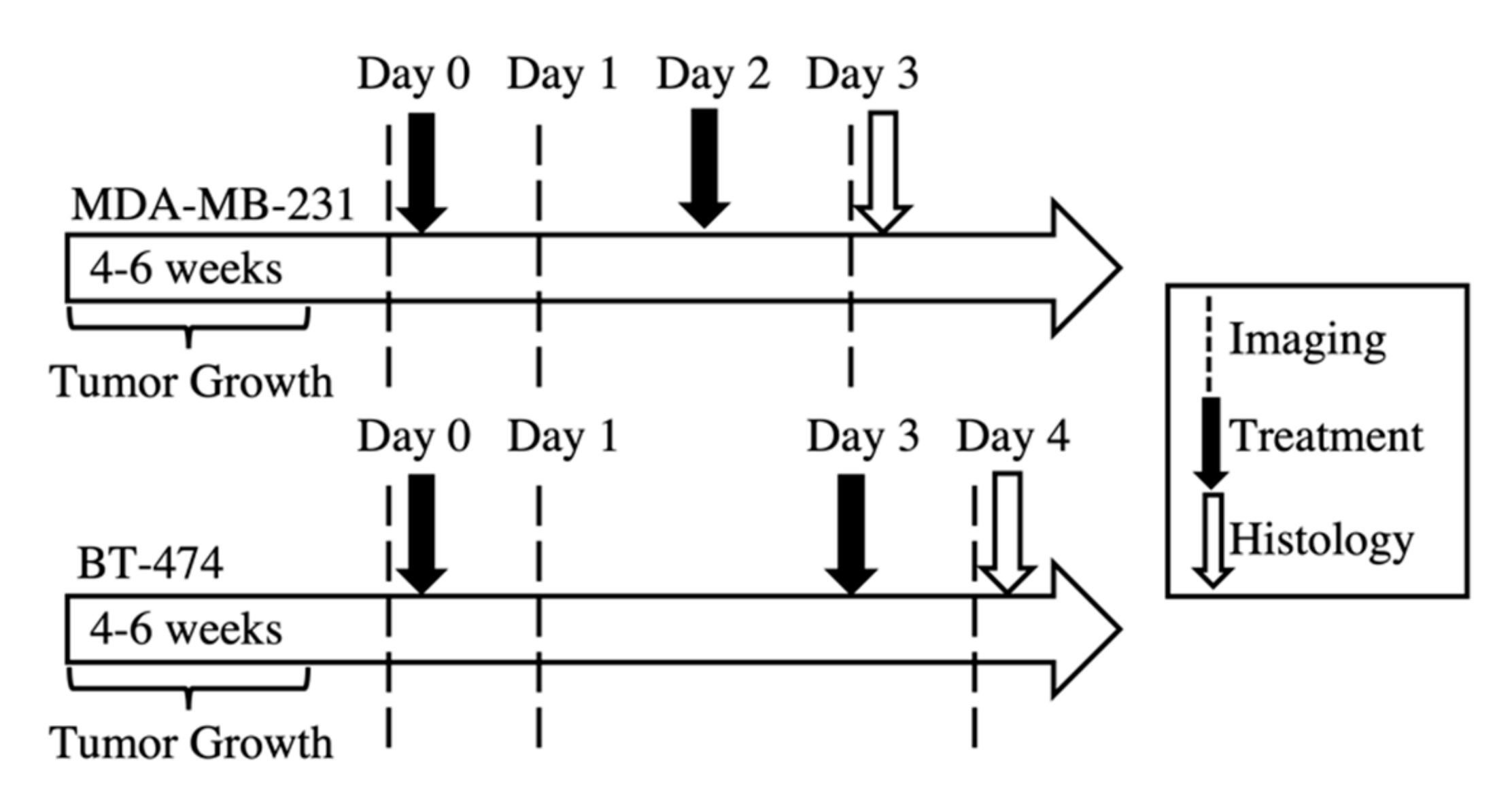 Cancers 12 01682 g006 Cancers 12 01682 g006