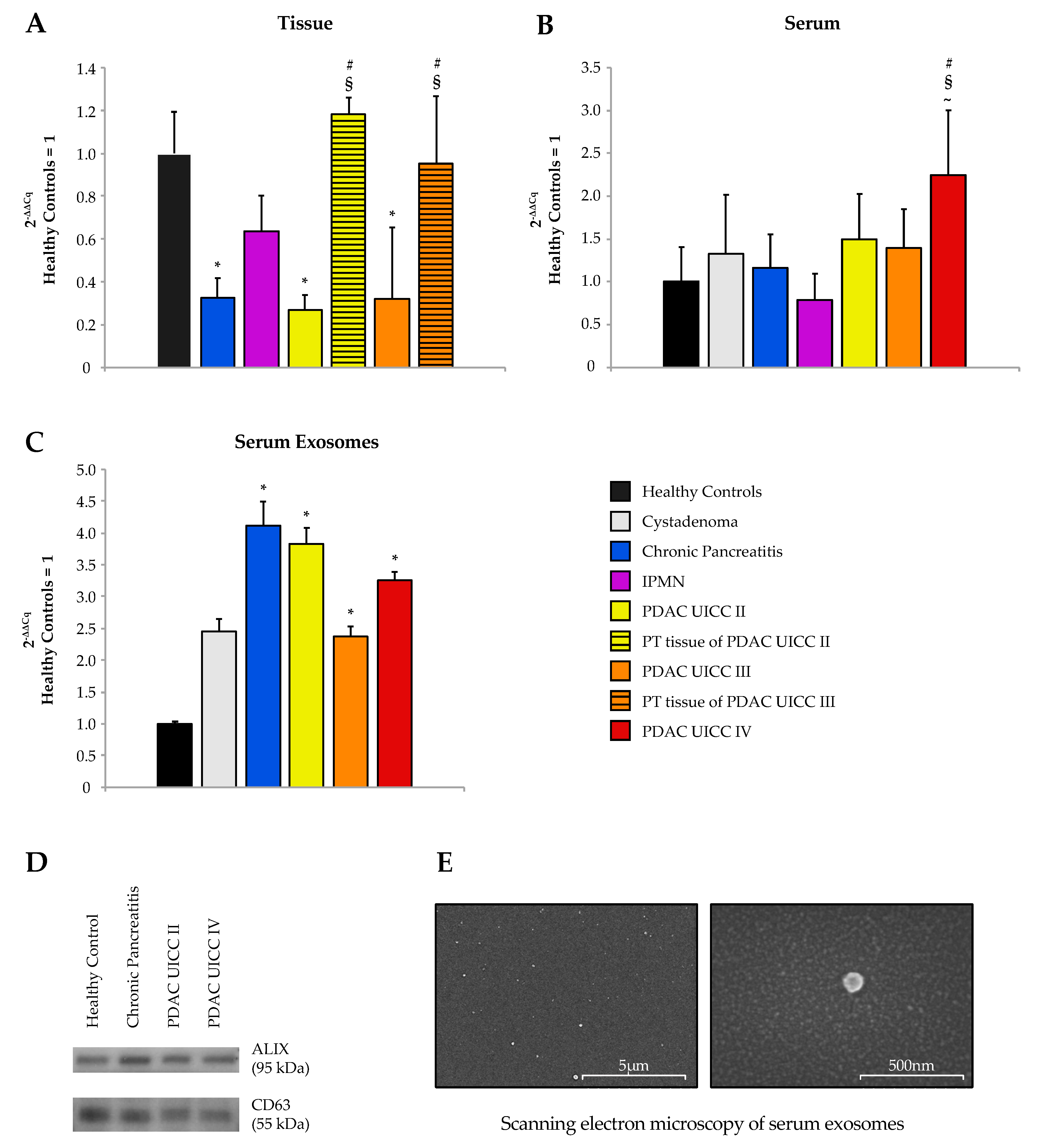 Cancers 12 01693 g002 Cancers 12 01693 g002