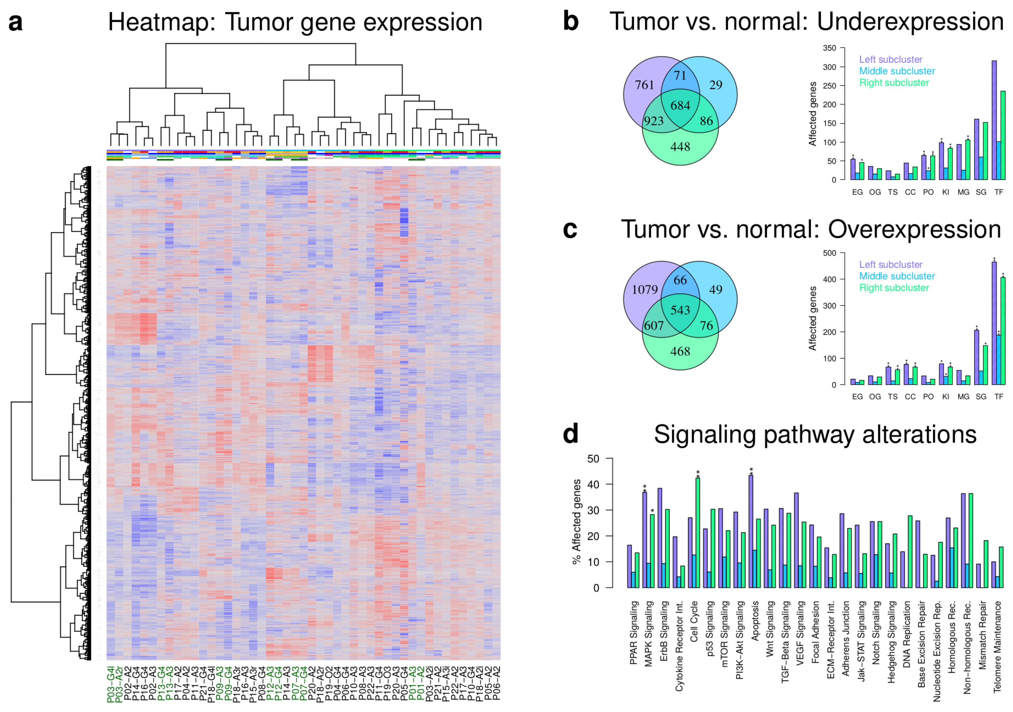 Cancers 12 01696 g003 Cancers 12 01696 g003