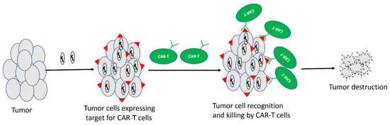 Cancers Free Full Text Optimizing Oncolytic Viral Design To Enhance Antitumor Efficacy Progress And Challenges