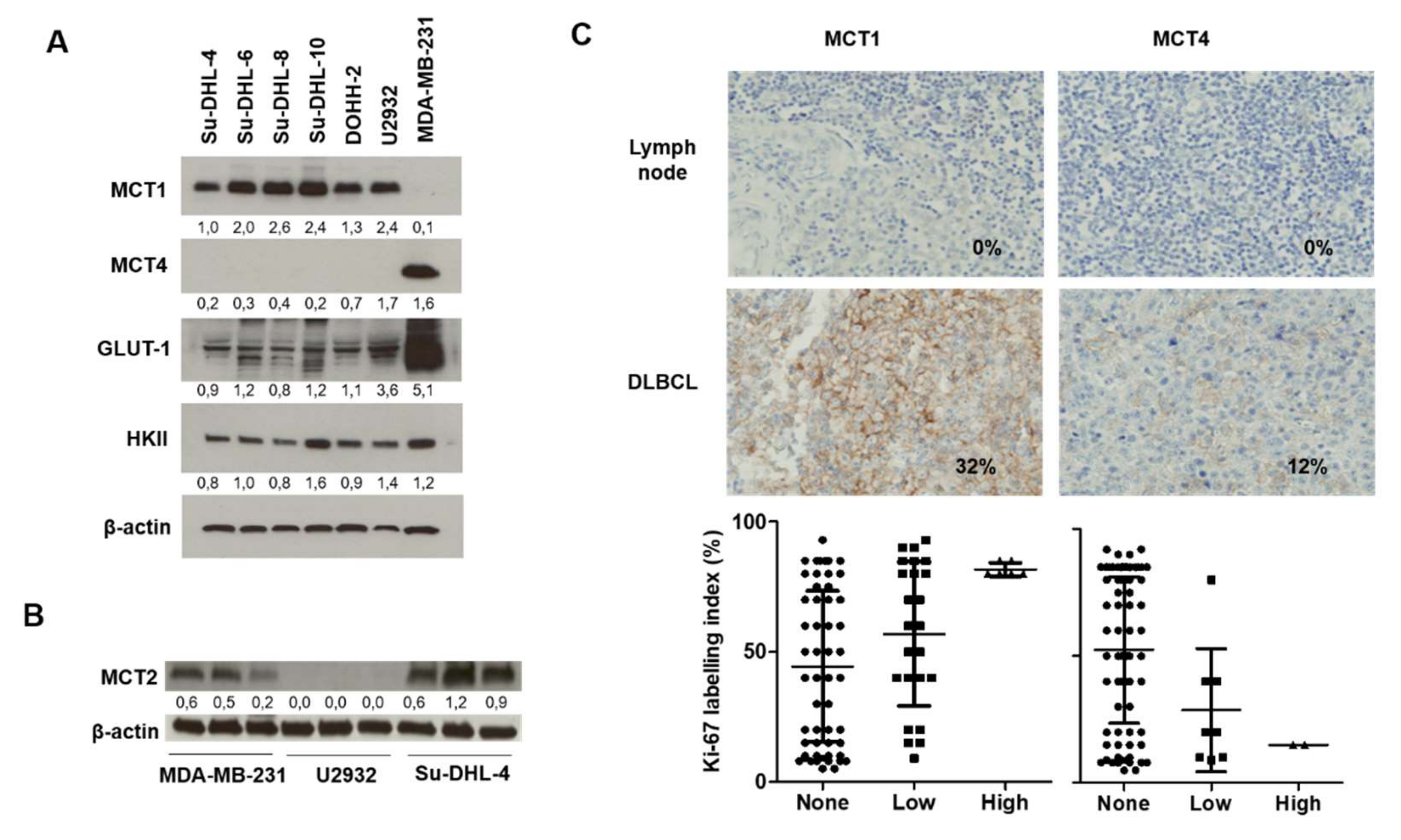 Cancers 12 01703 g001 Cancers 12 01703 g001