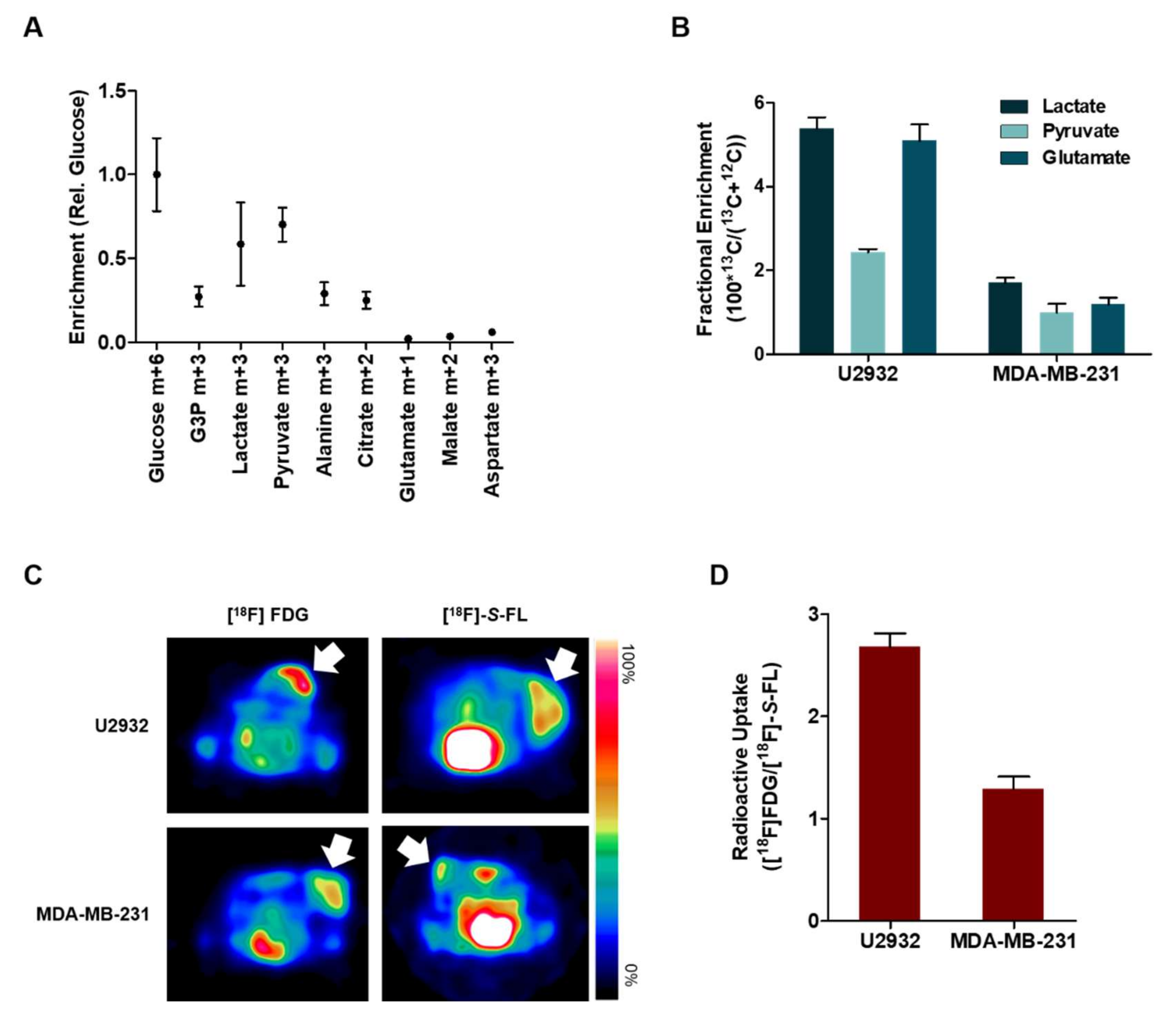 Cancers 12 01703 g003 Cancers 12 01703 g003