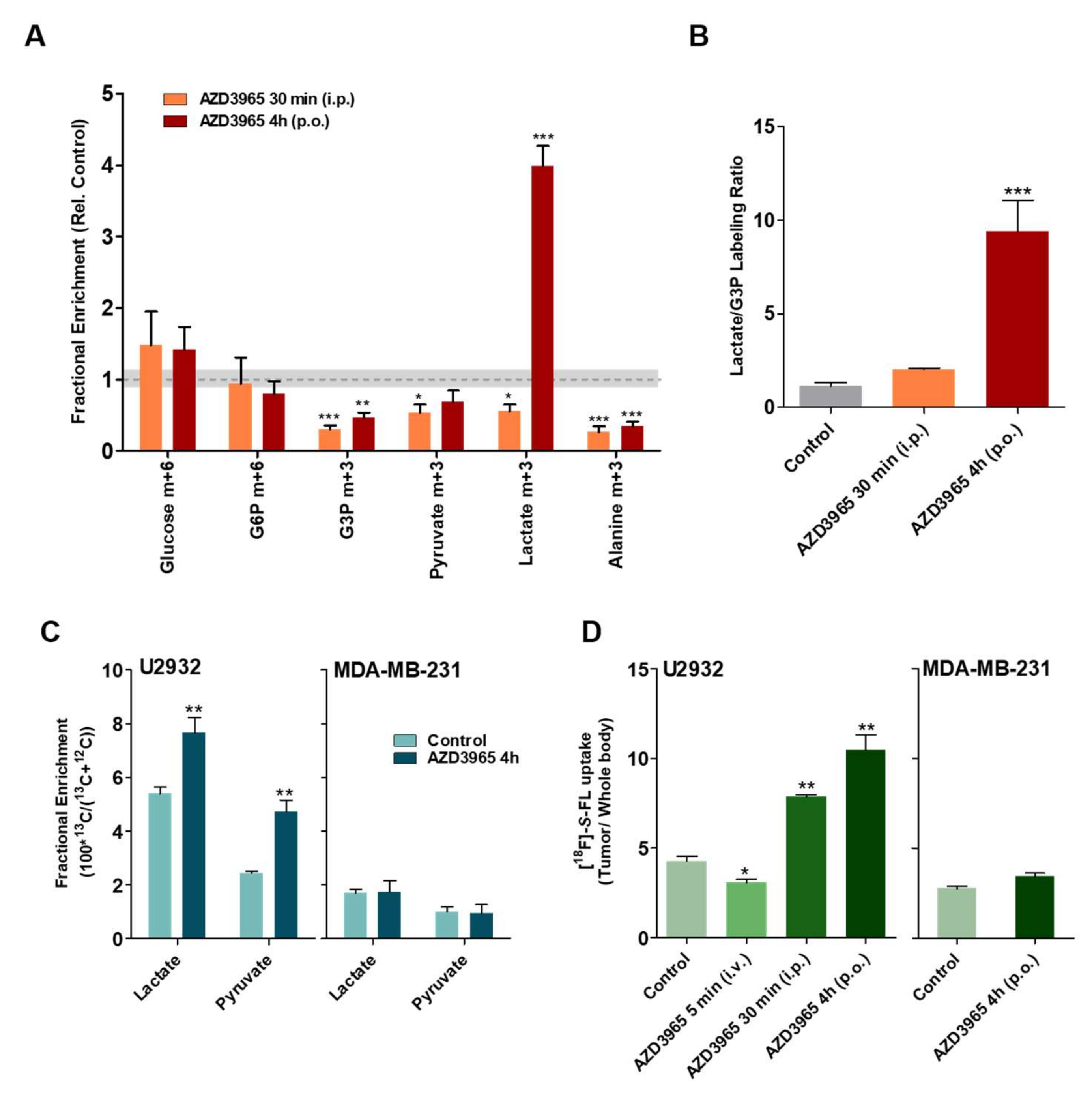 Cancers 12 01703 g004 Cancers 12 01703 g004