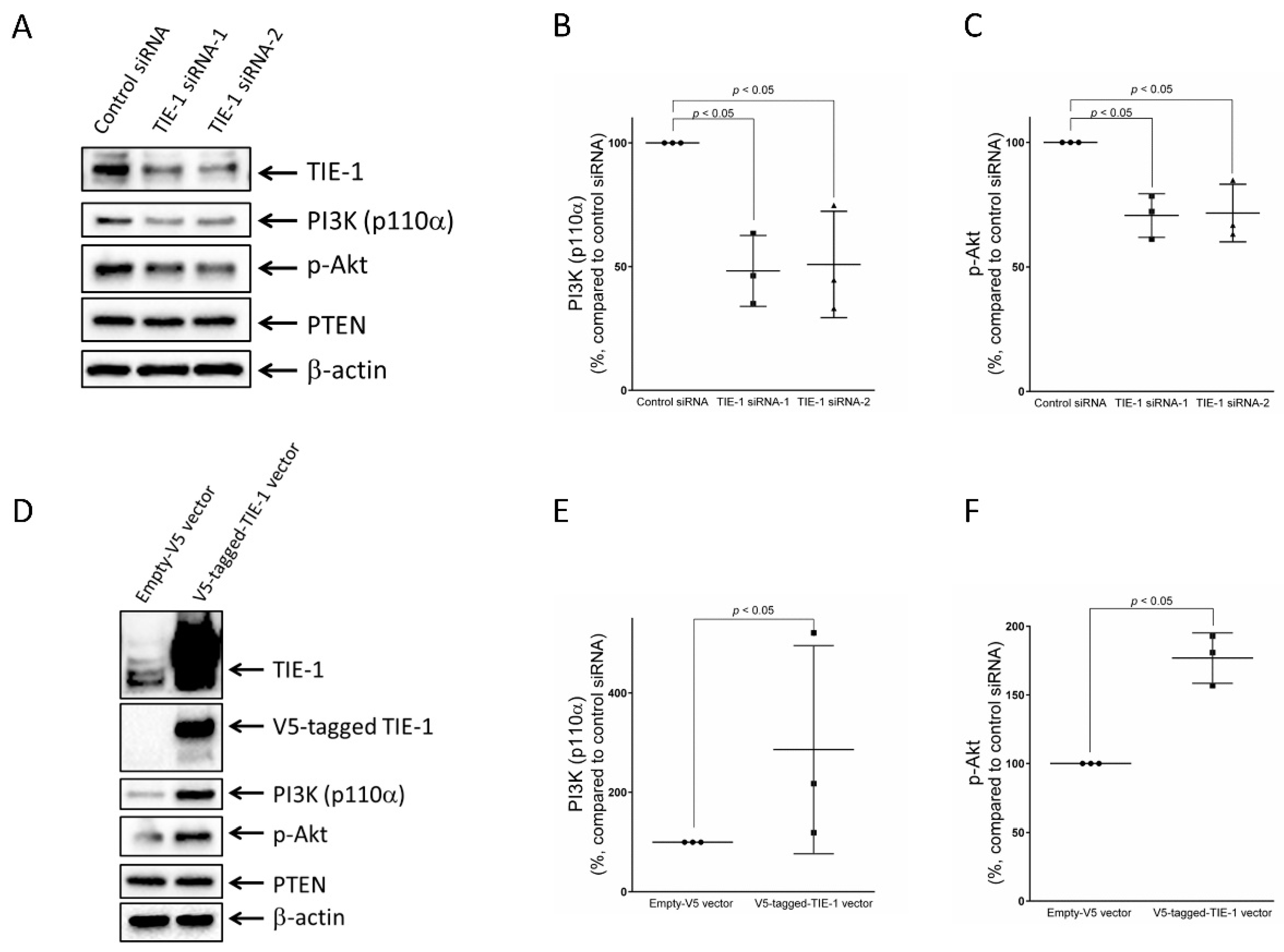 Cancers 12 01705 g001