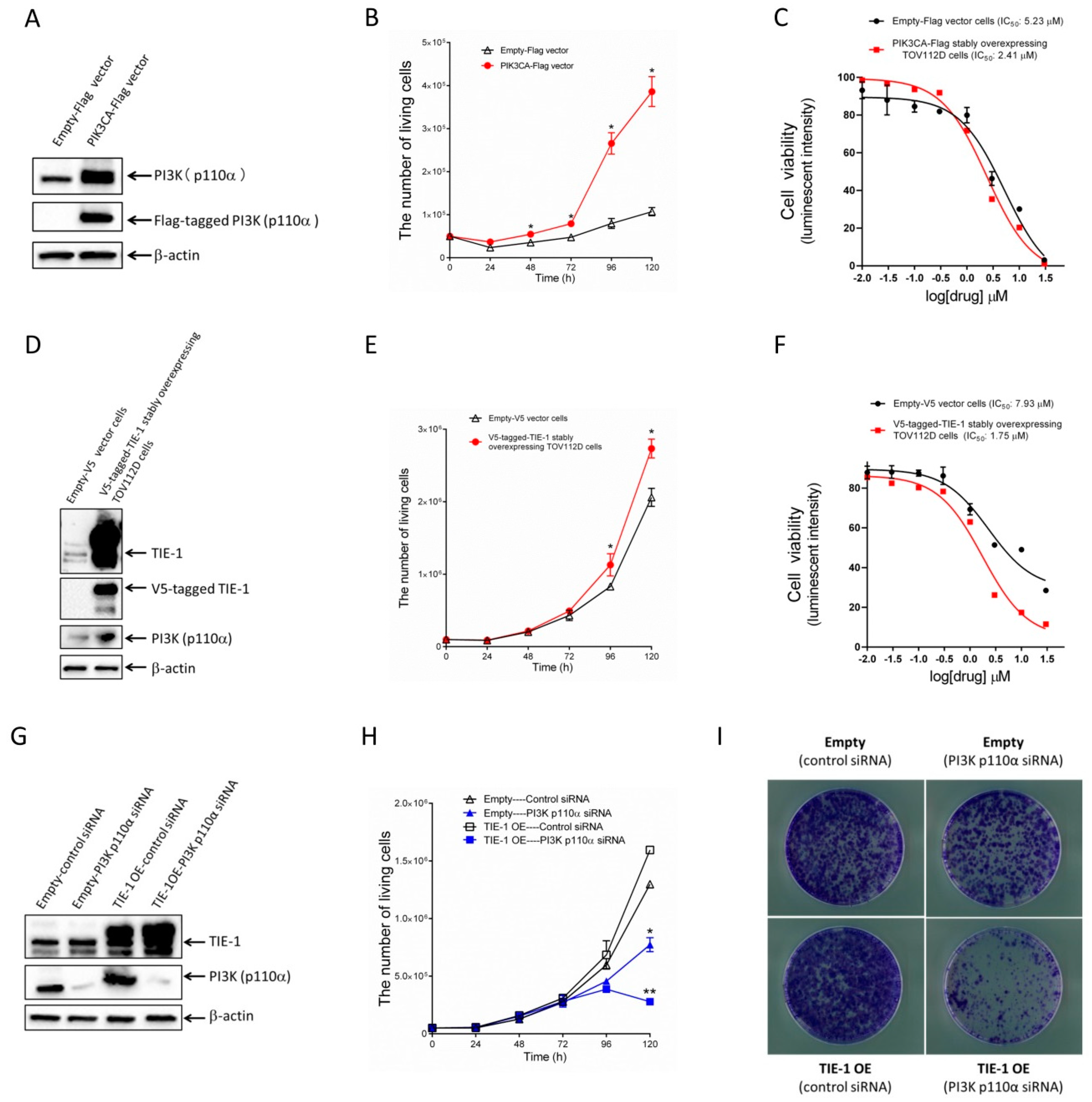 Cancers 12 01705 g004