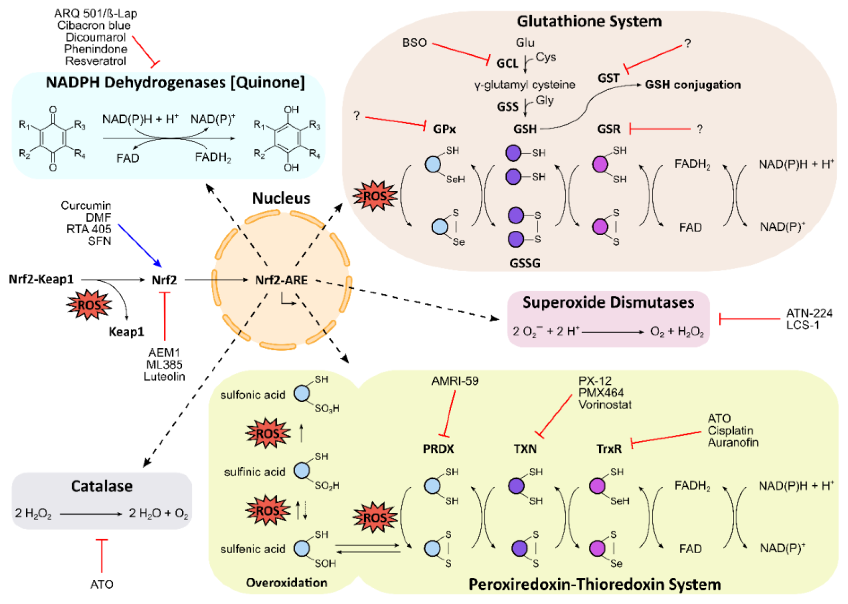 Cancers 12 01706 g002 Cancers 12 01706 g002