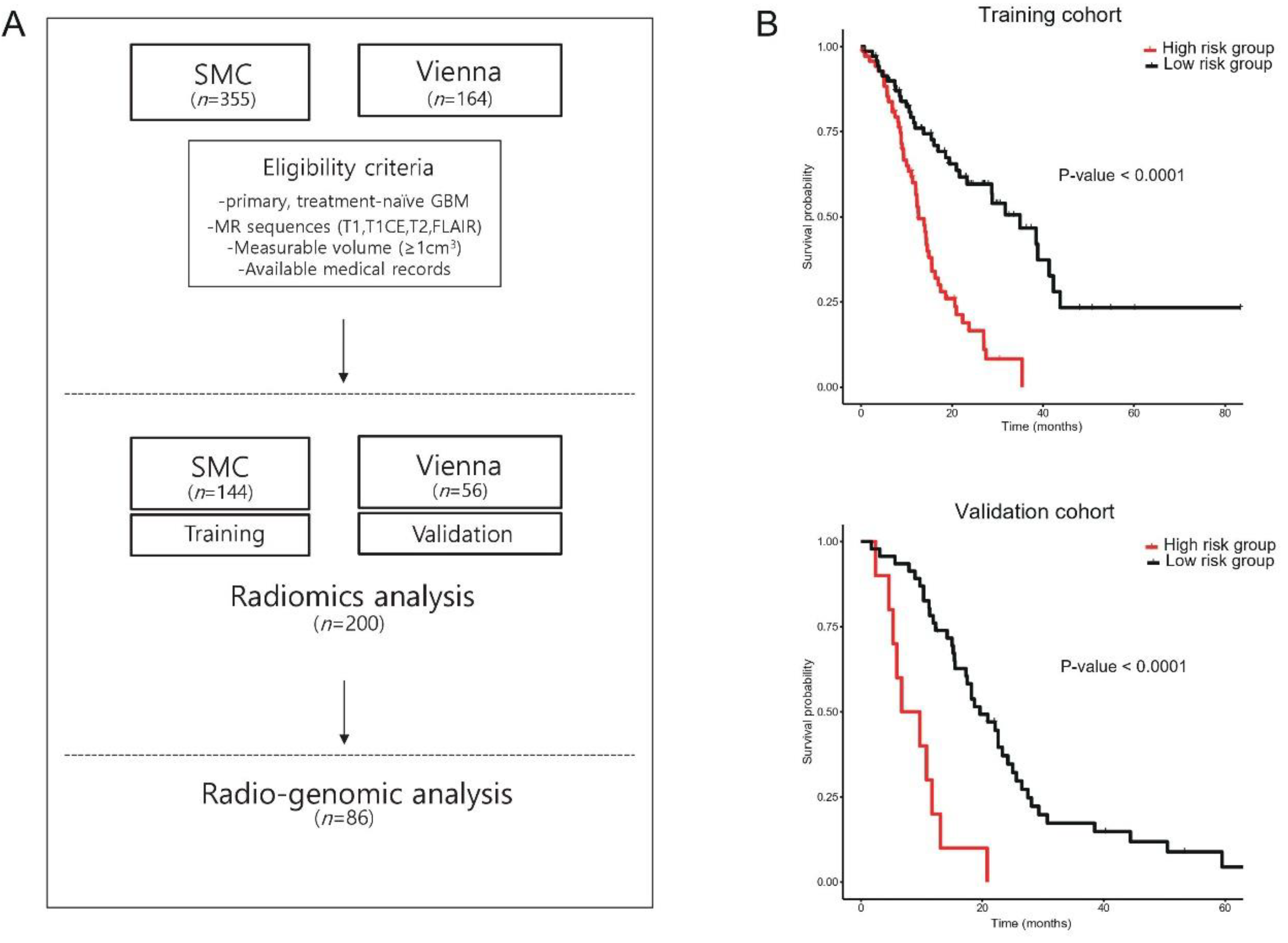 Cancers 12 01707 g001 Cancers 12 01707 g001