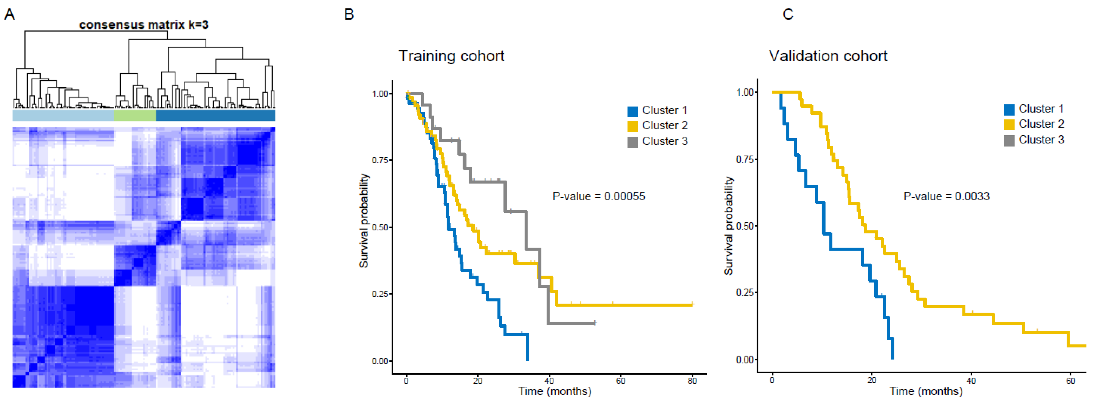 Cancers 12 01707 g002 Cancers 12 01707 g002