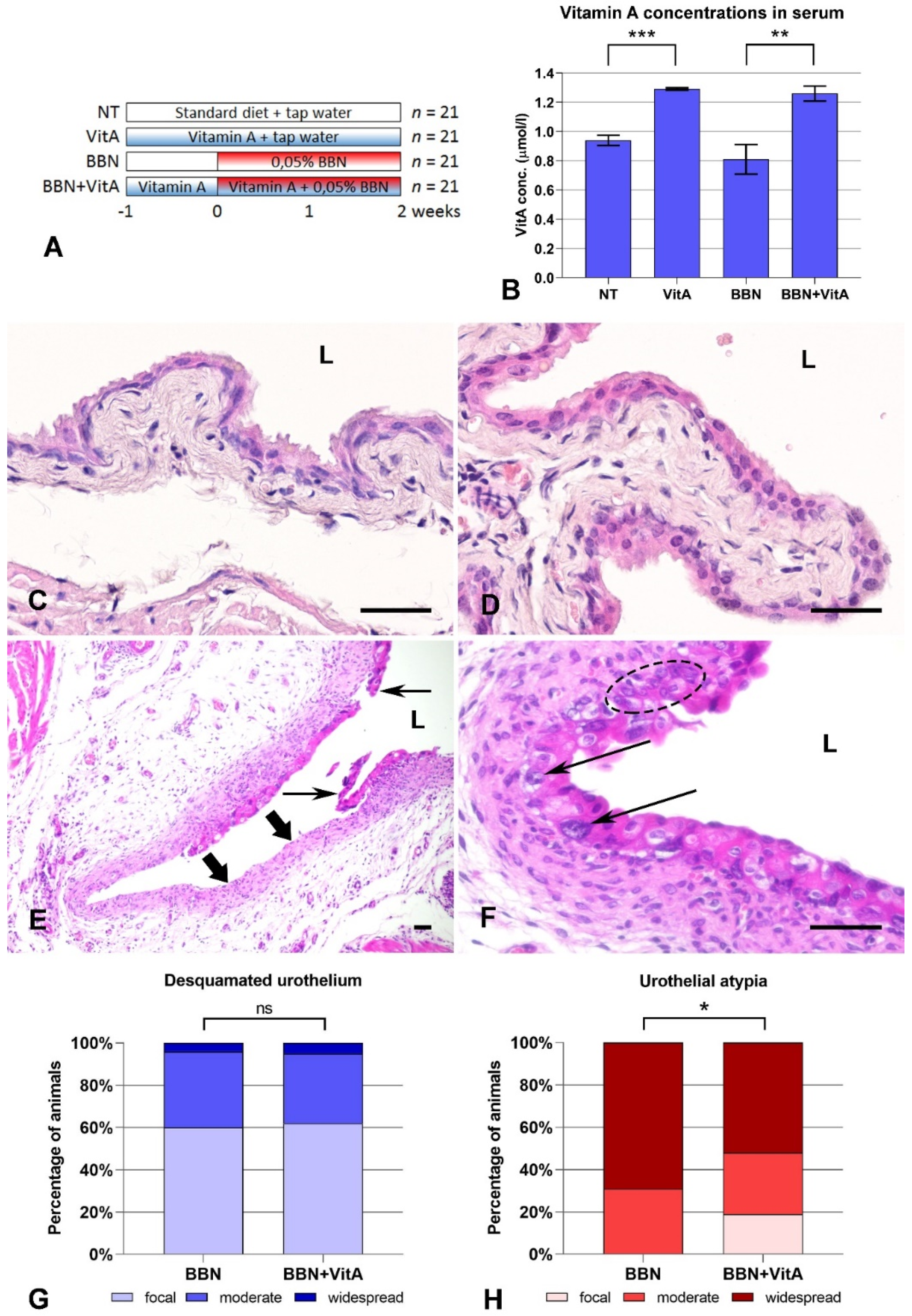 Cancers 12 01712 g001 Cancers 12 01712 g001