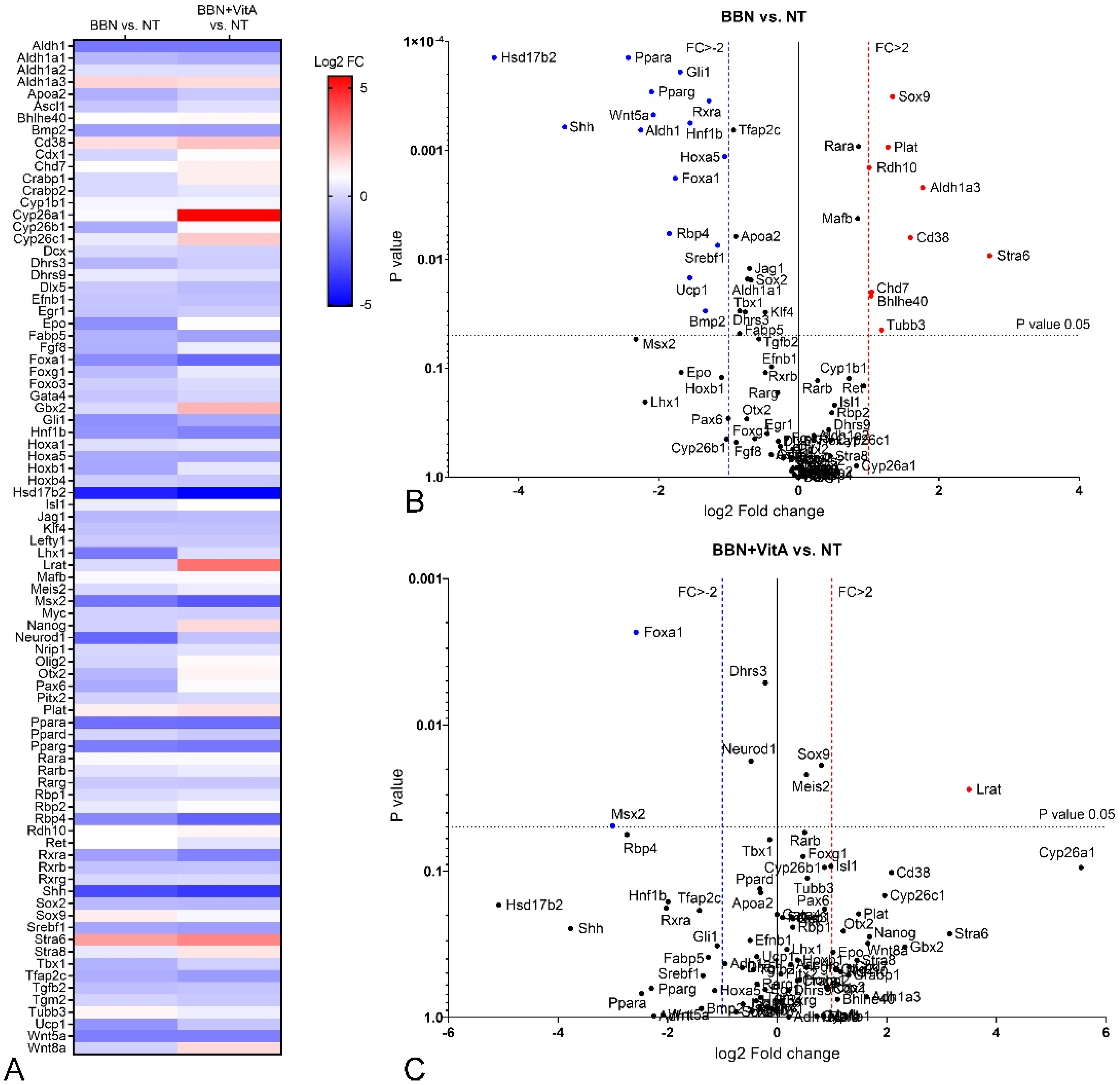 Cancers 12 01712 g005 Cancers 12 01712 g005