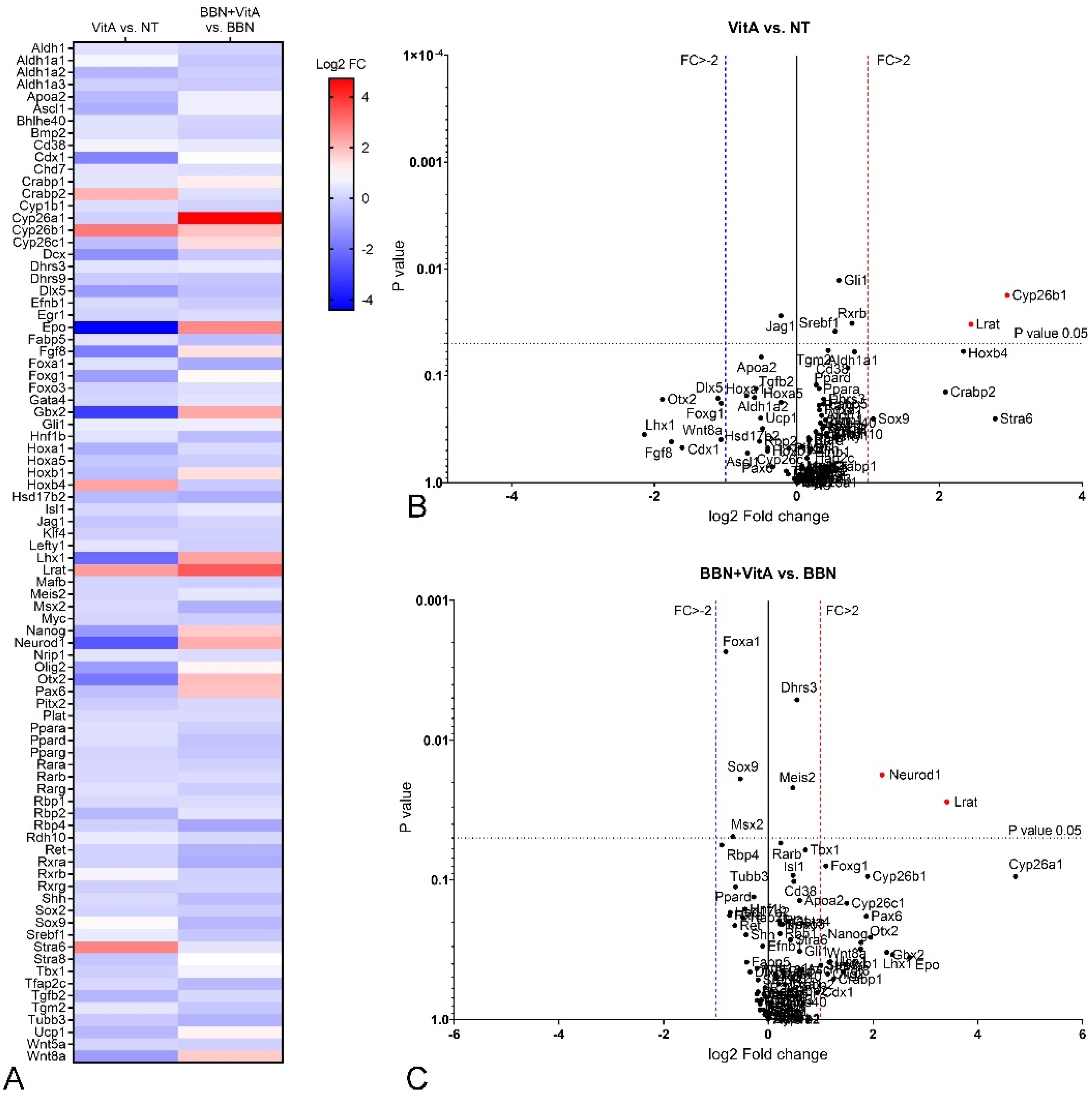 Cancers 12 01712 g006 Cancers 12 01712 g006