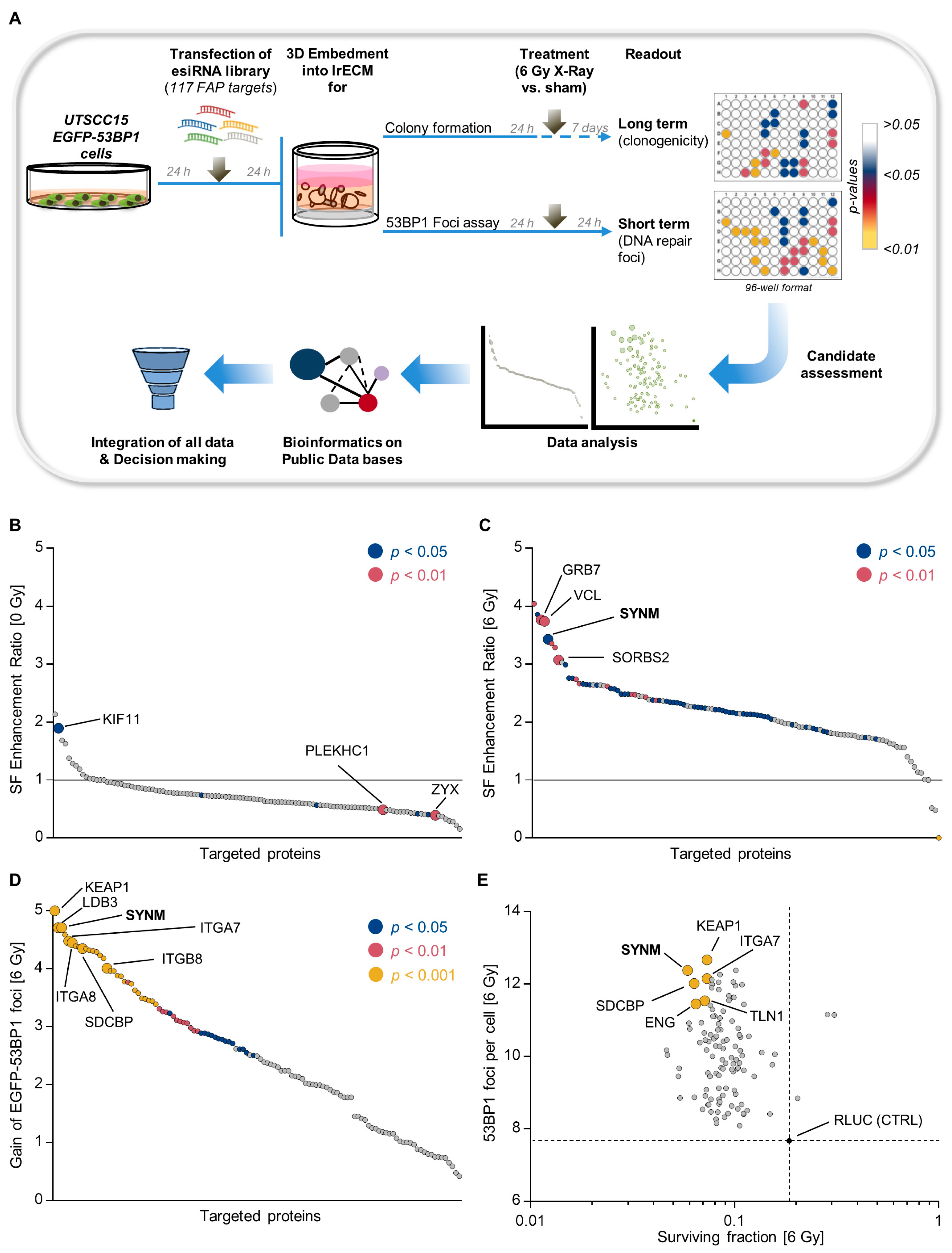 Cancers 12 01717 g001