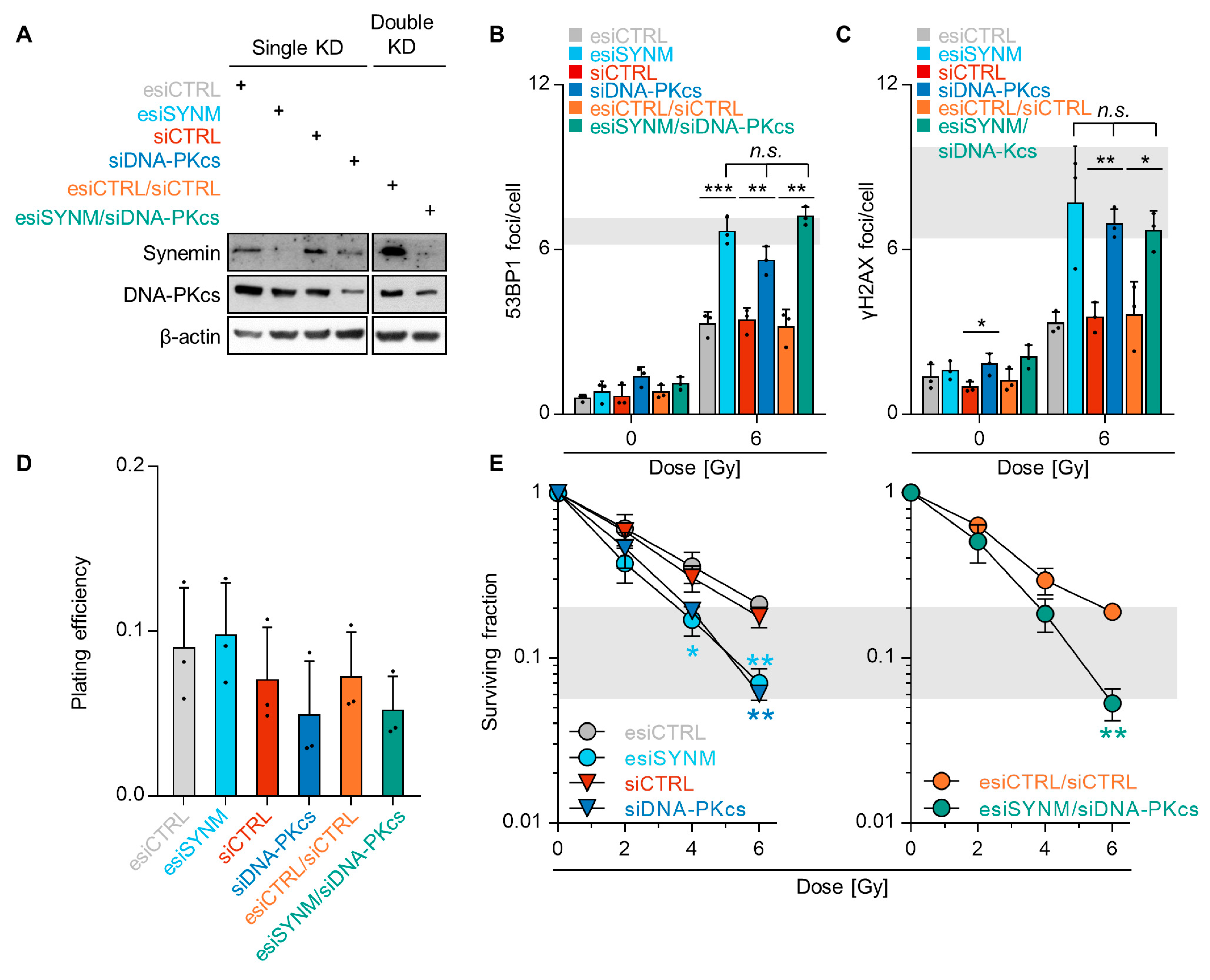 Cancers 12 01717 g004