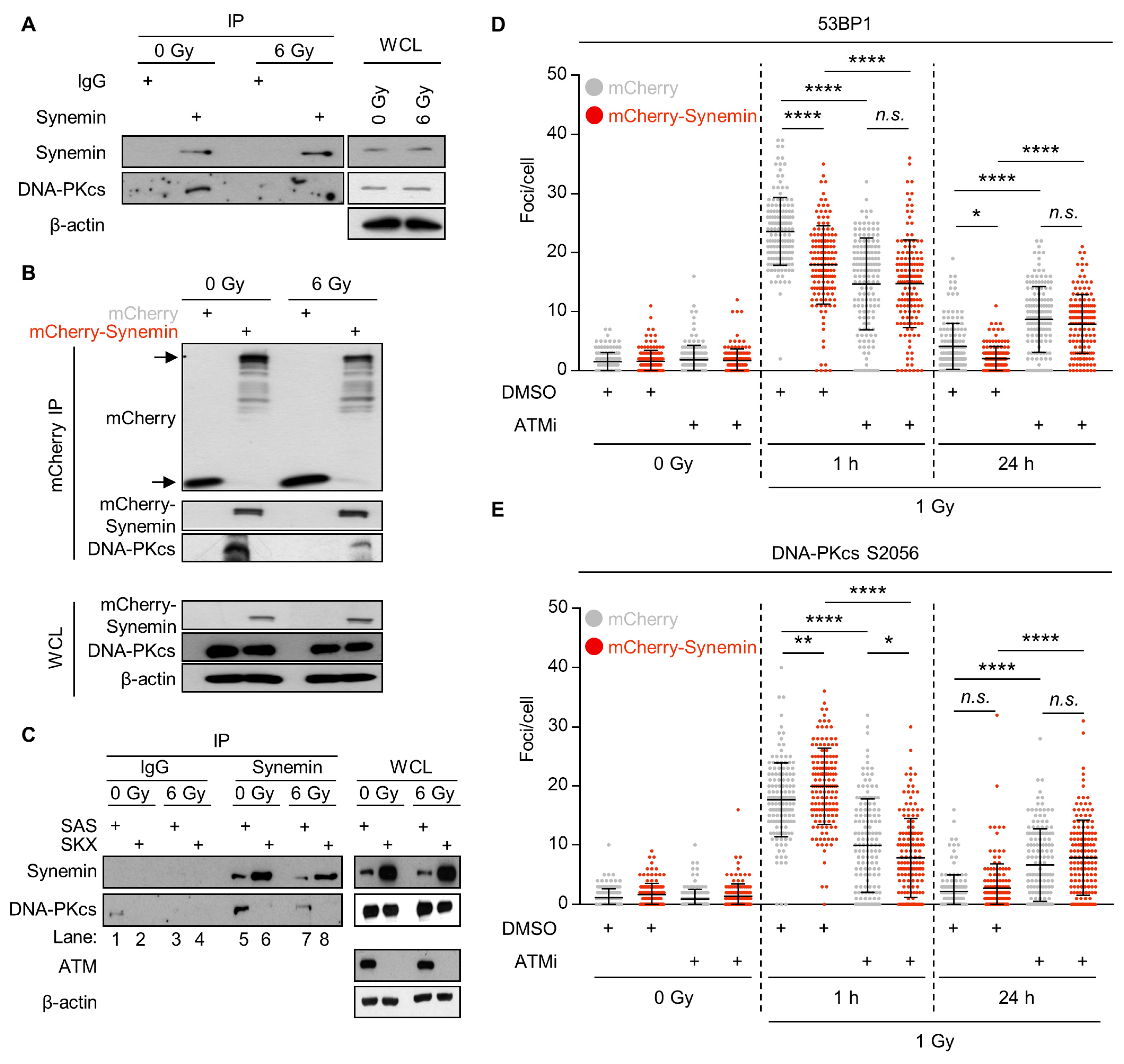 Cancers 12 01717 g005
