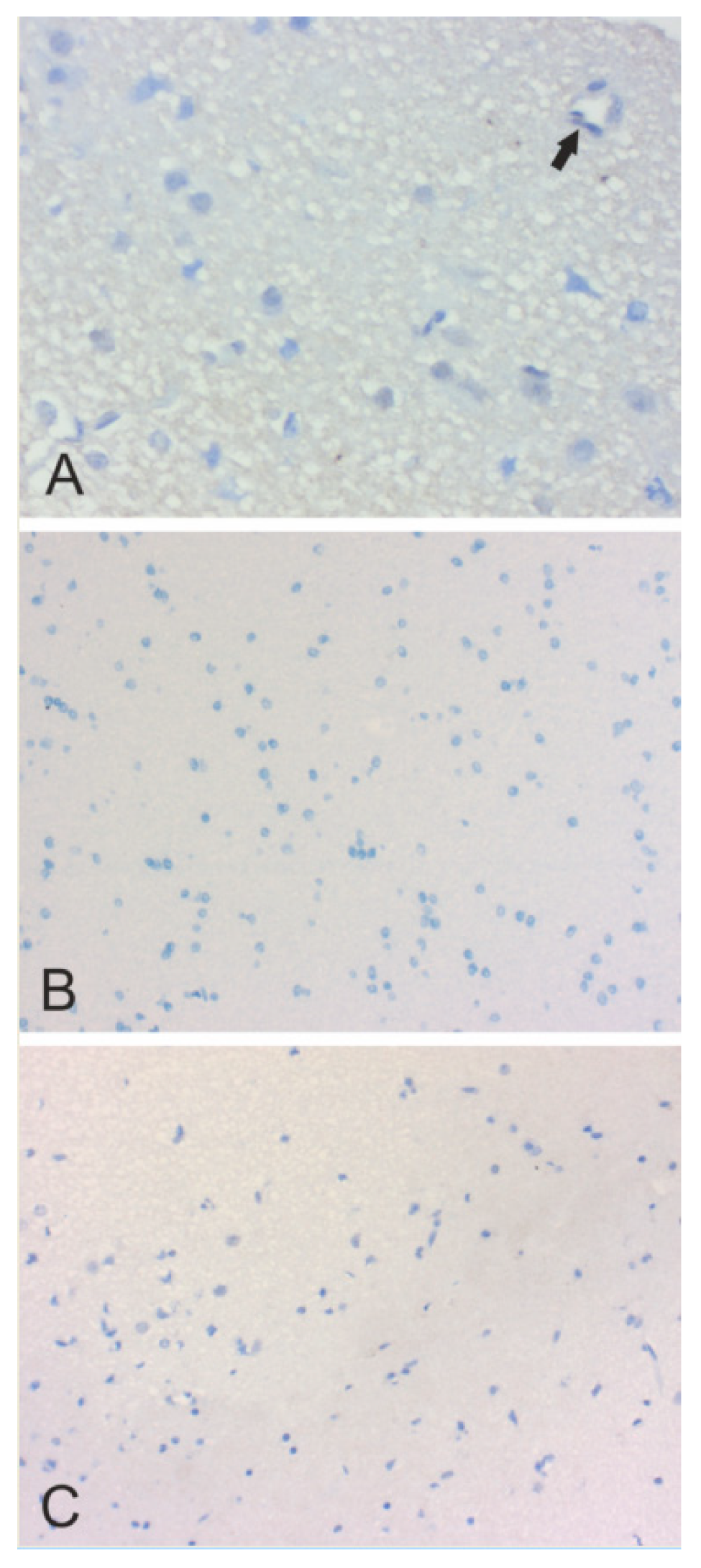 Cancers 12 01723 g006 Cancers 12 01723 g006
