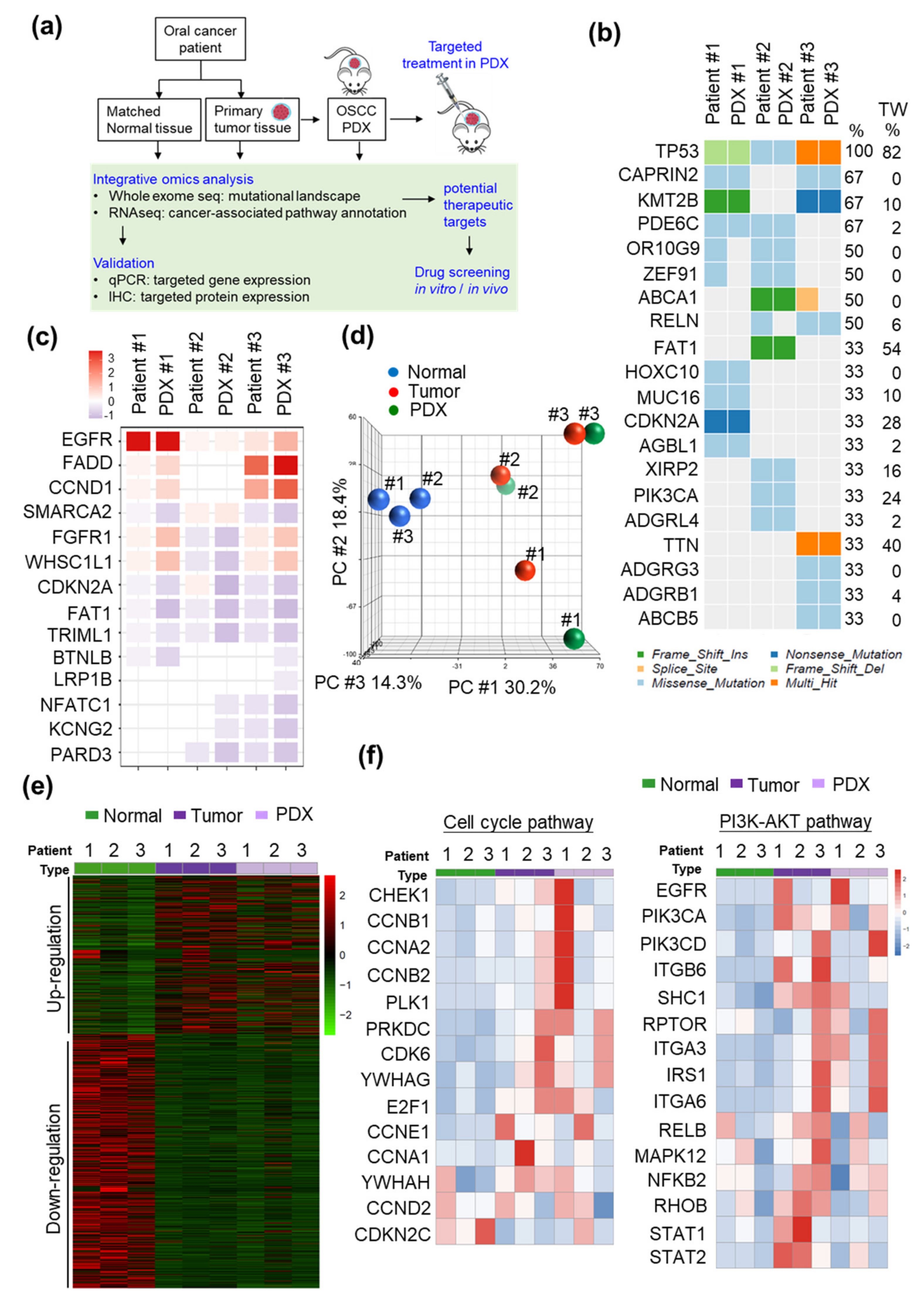 Cancers 12 01726 g001 Cancers 12 01726 g001