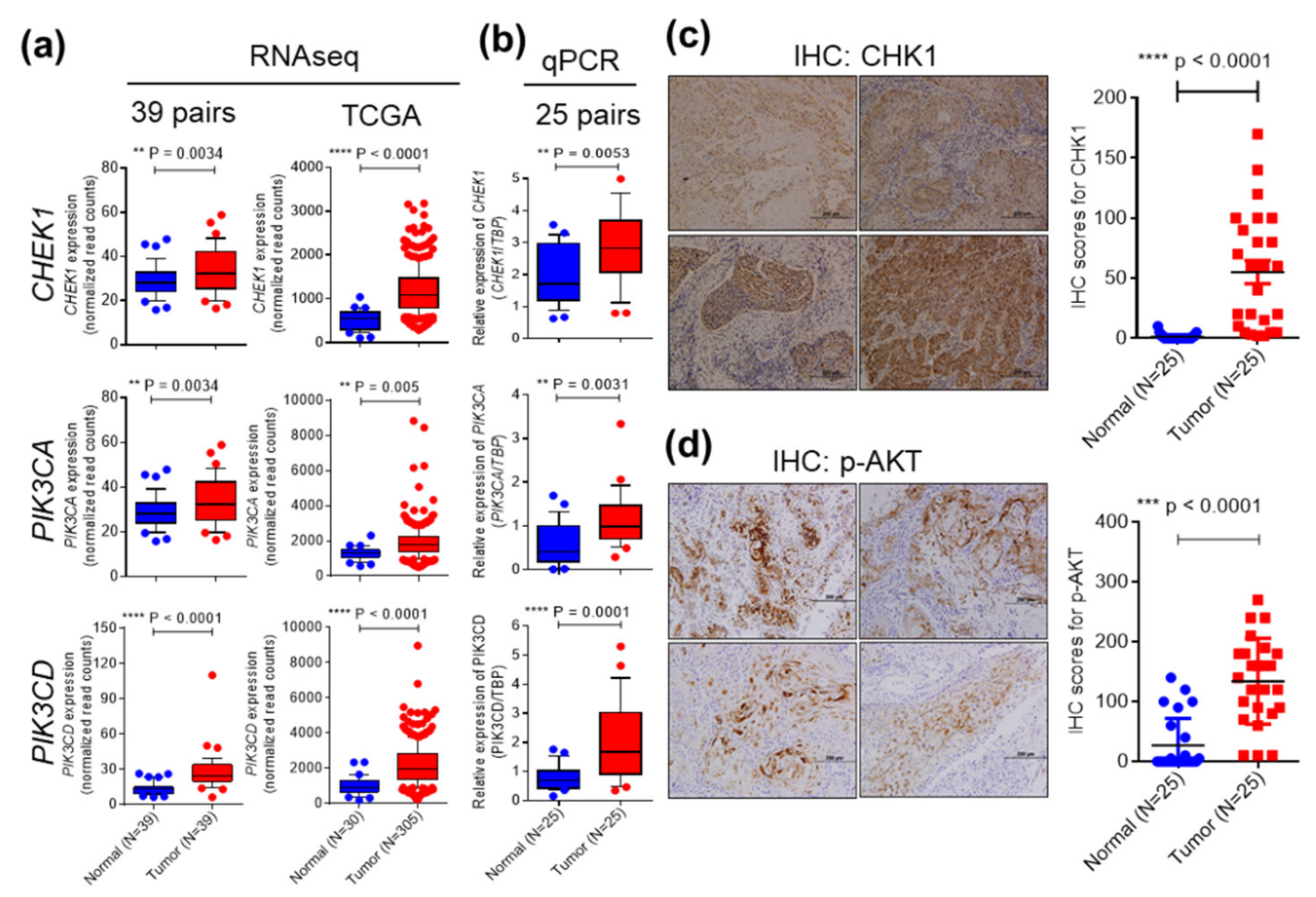 Cancers 12 01726 g002 Cancers 12 01726 g002