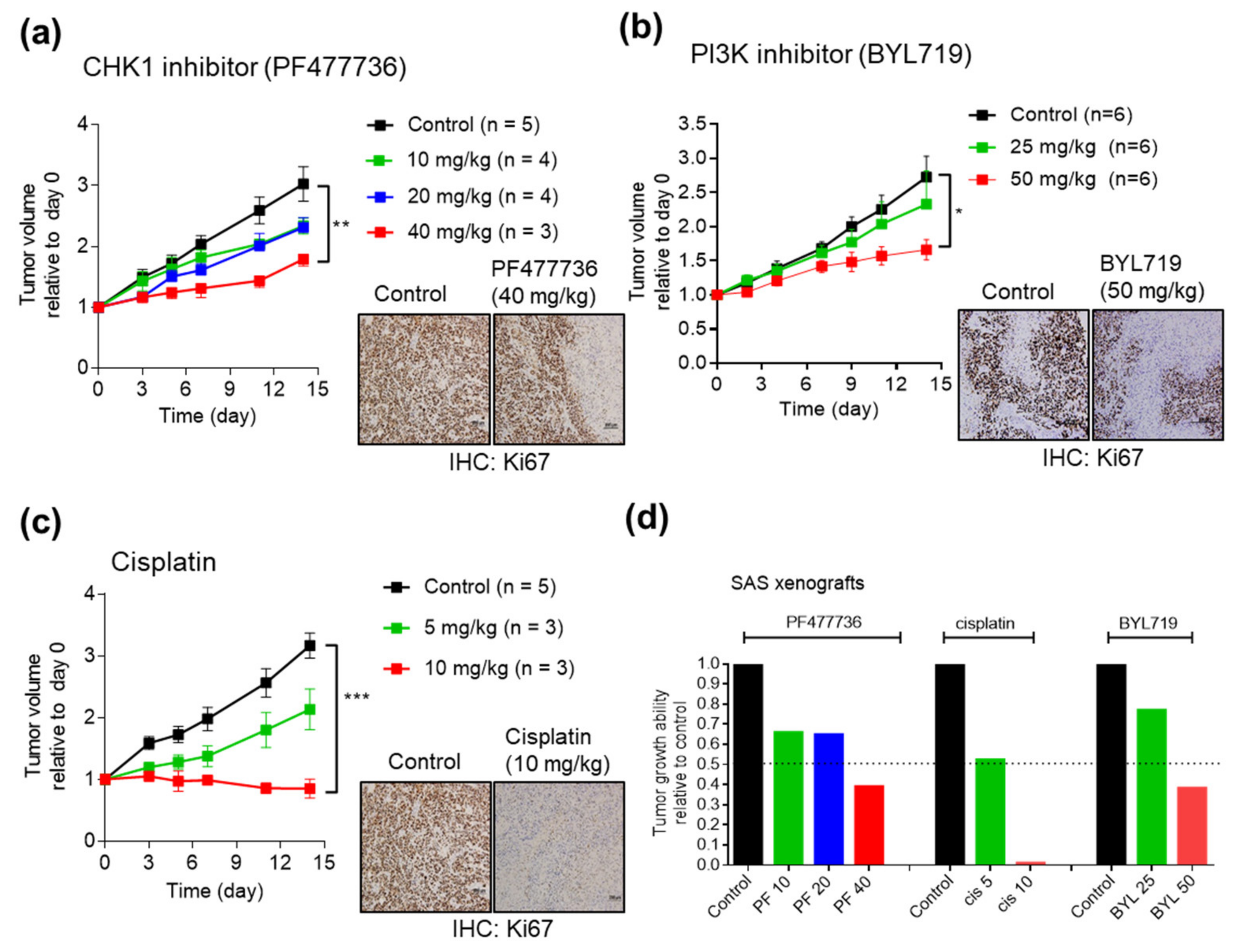 Cancers 12 01726 g005 Cancers 12 01726 g005