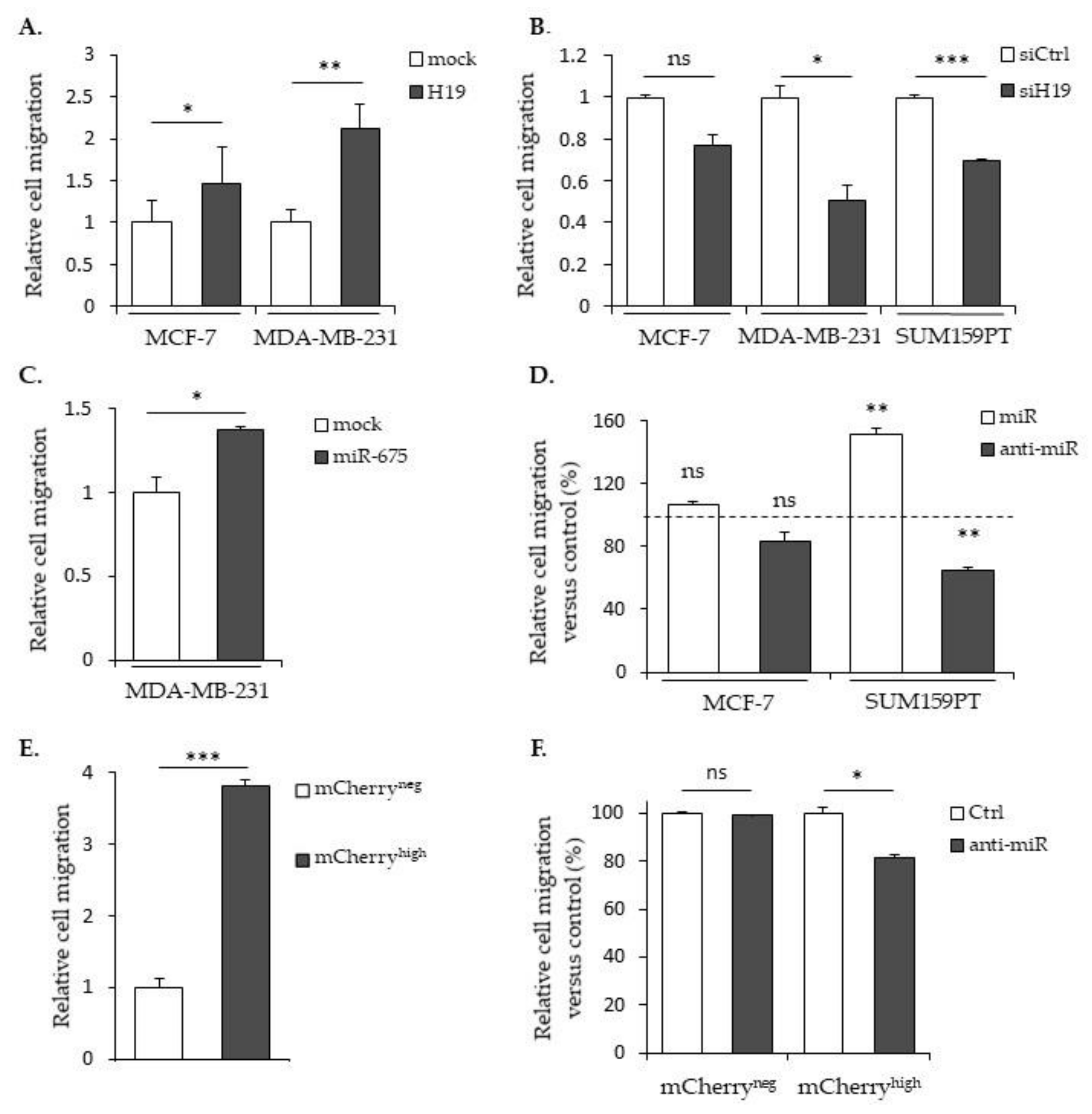 breast cancer 12s jordans