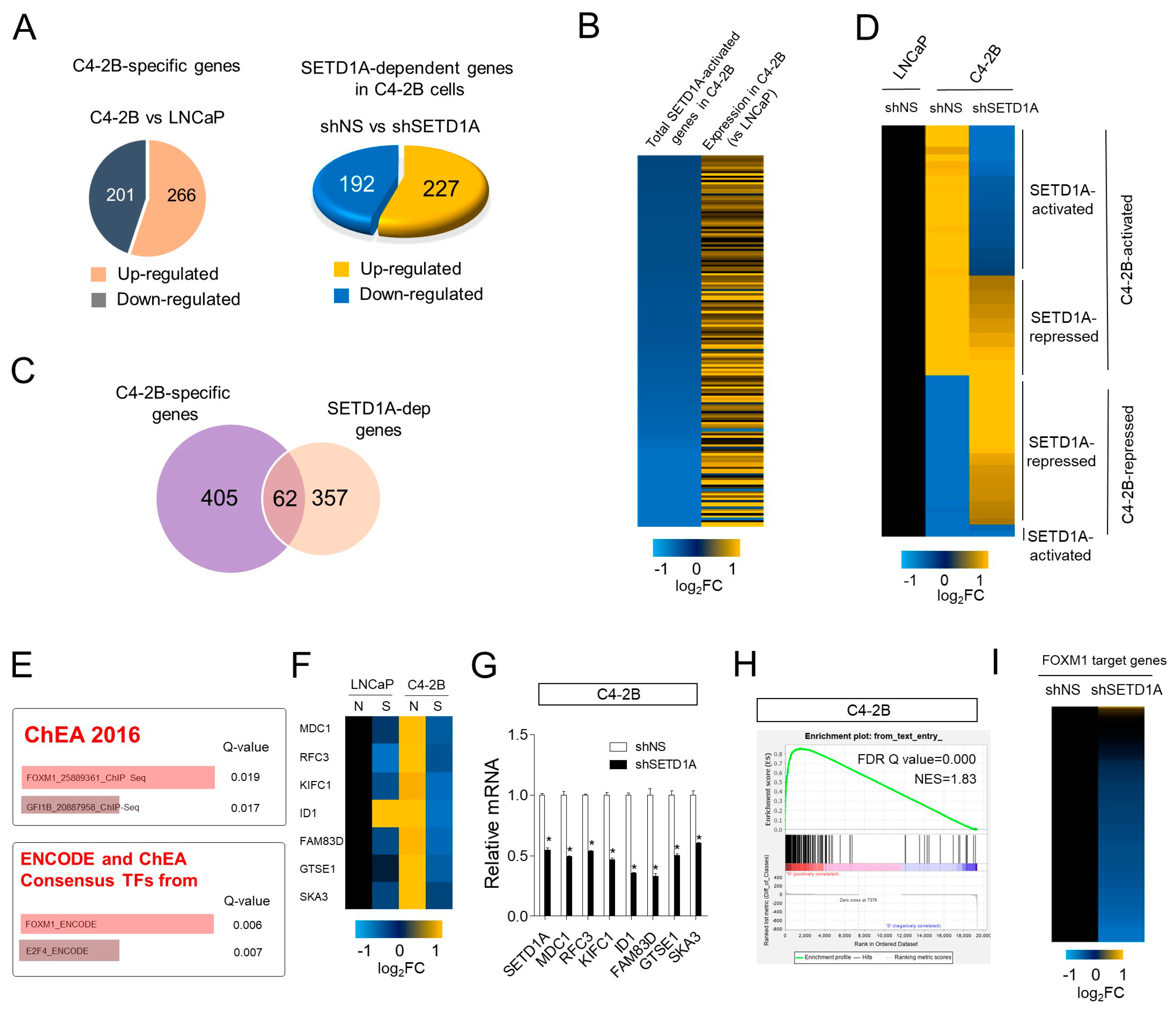 Cancers 12 01736 g002 Cancers 12 01736 g002