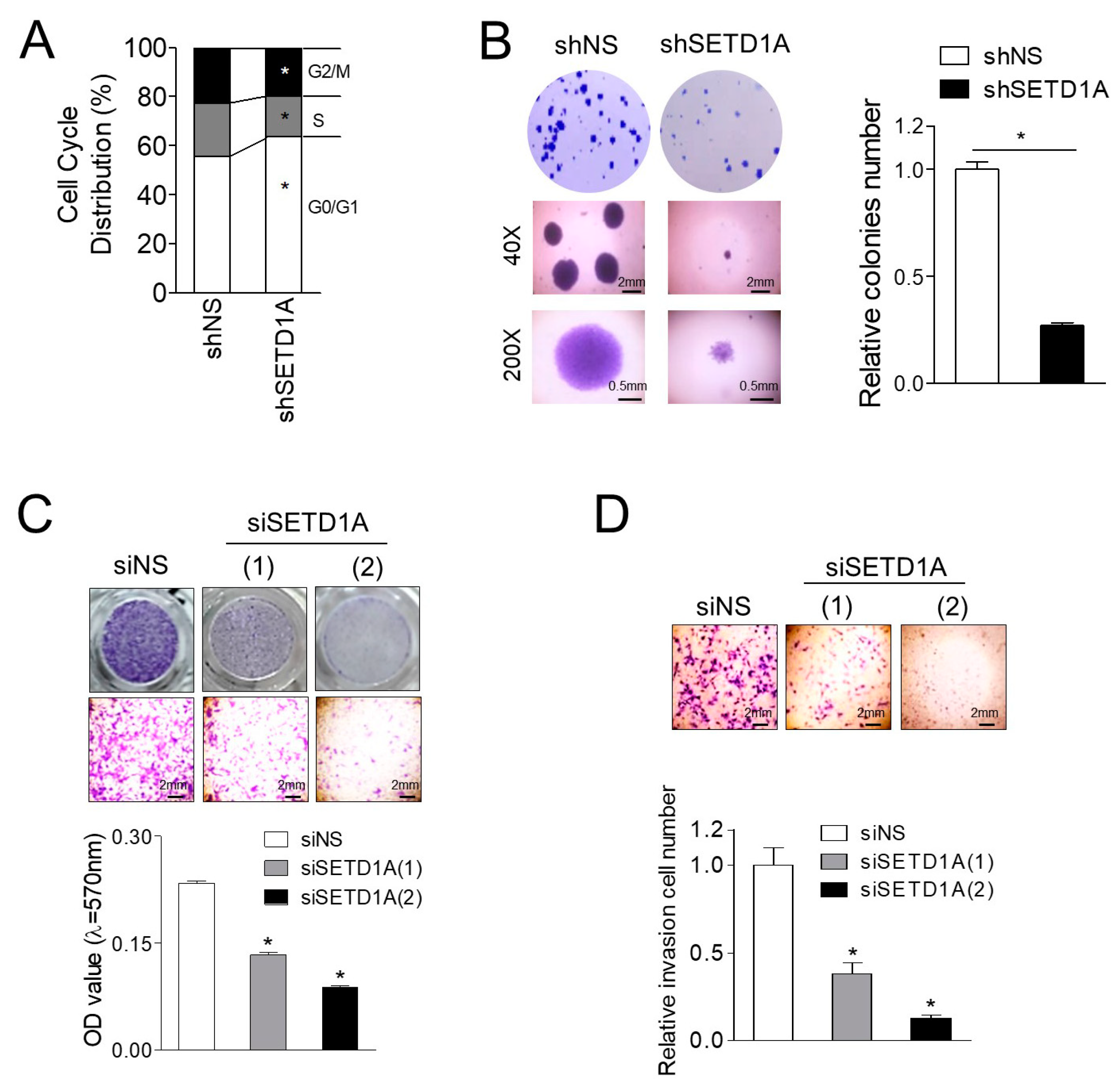Cancers 12 01736 g005 Cancers 12 01736 g005