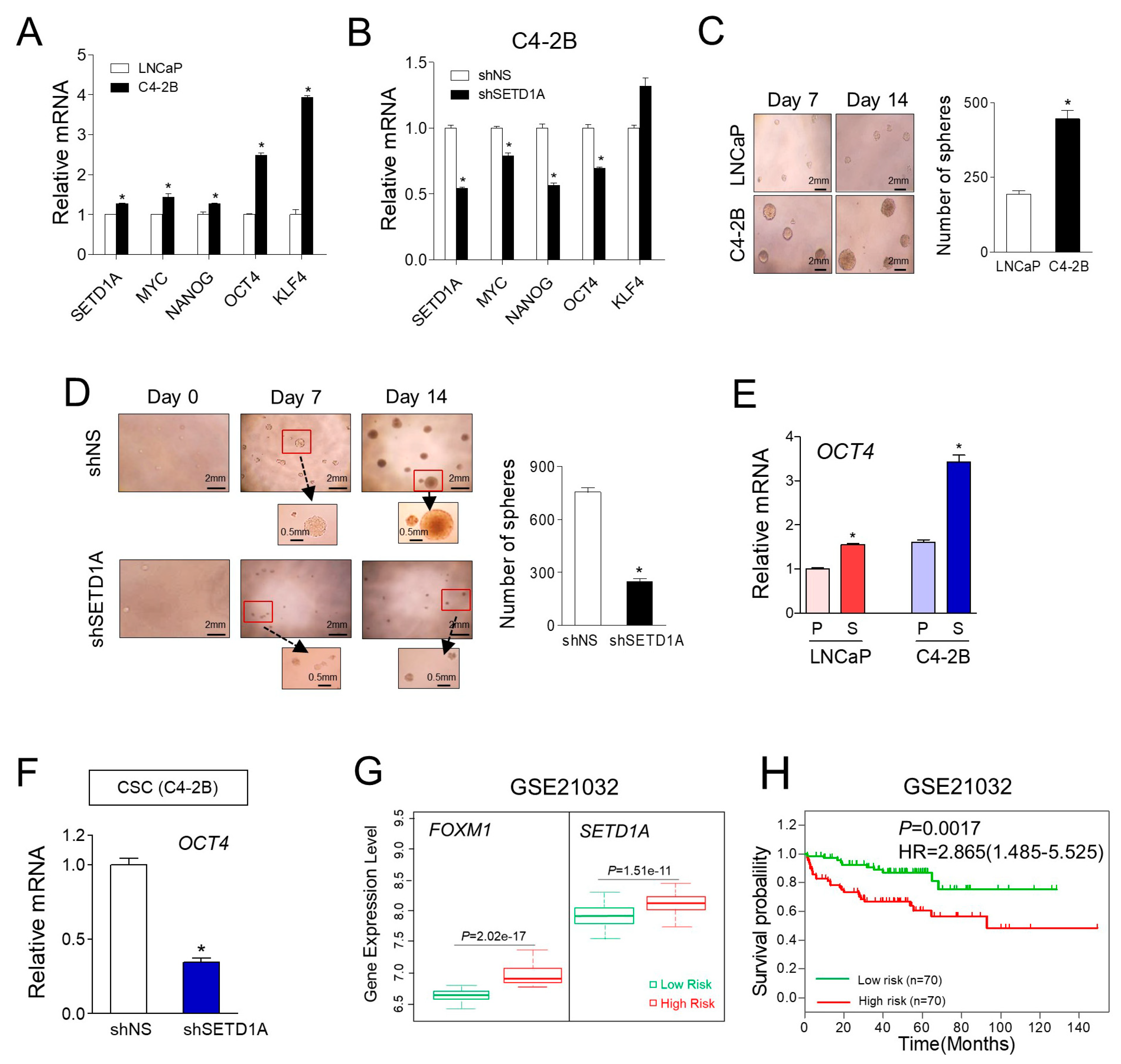 Cancers 12 01736 g006 Cancers 12 01736 g006