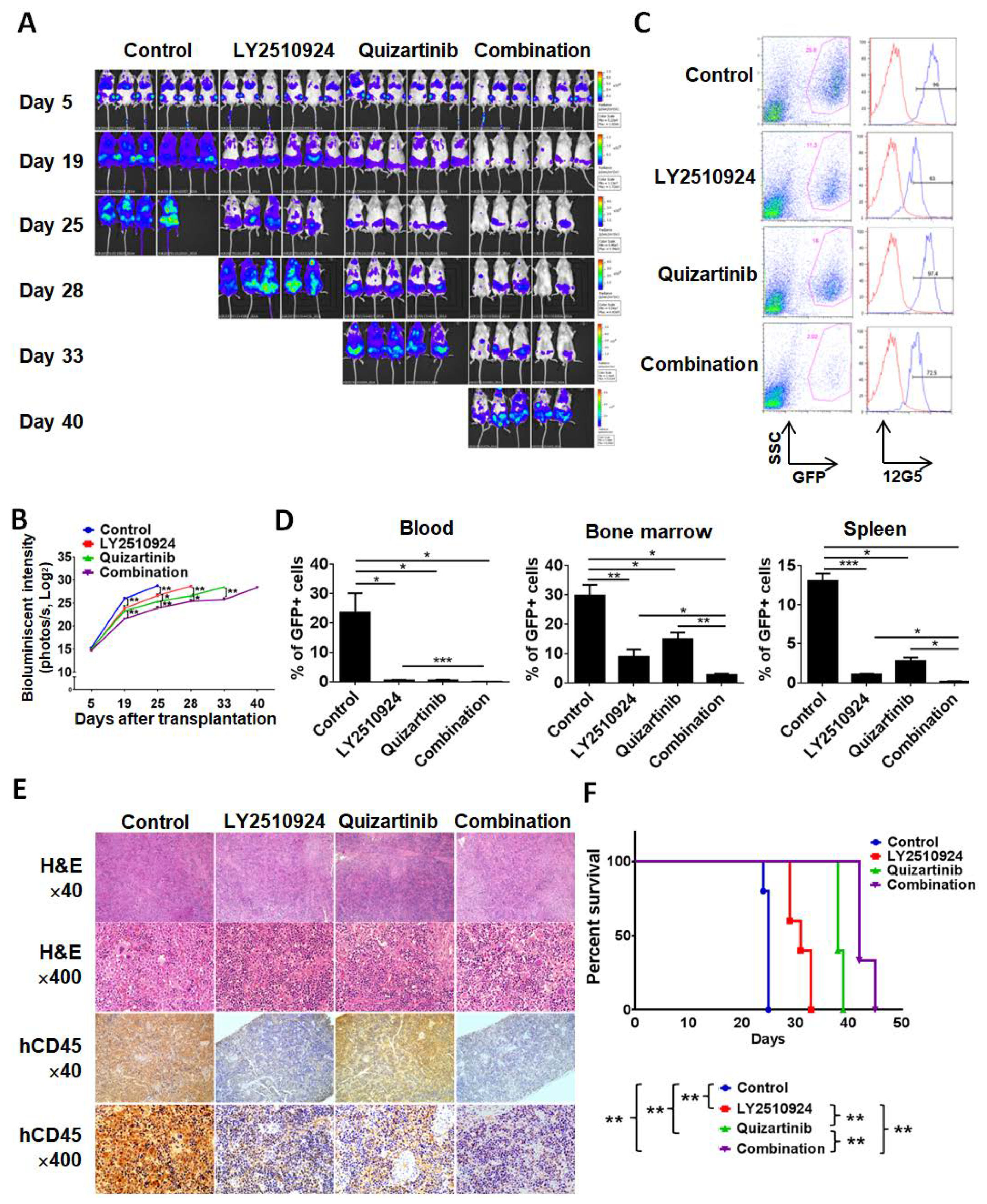Cancers 12 01737 g003