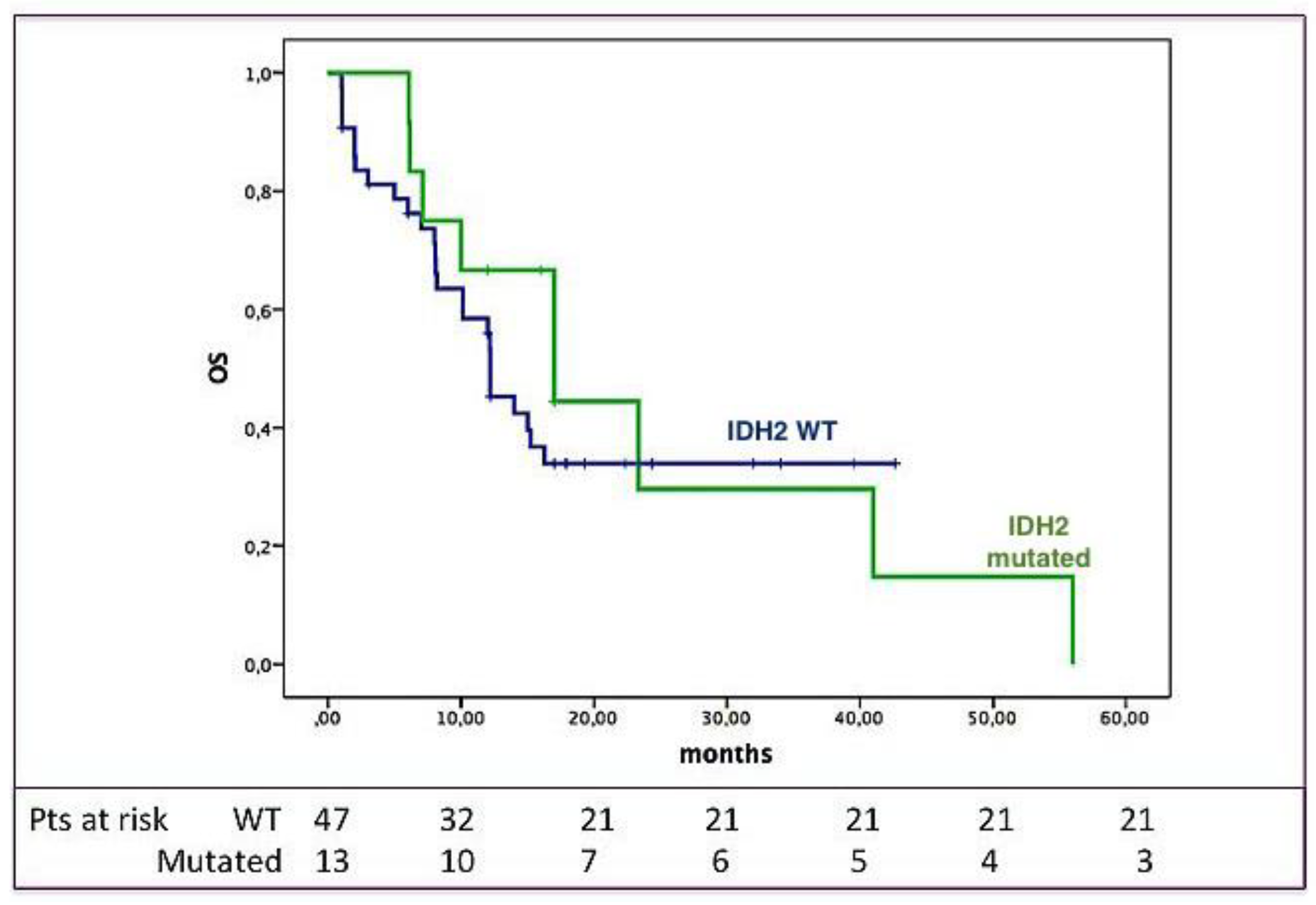 Cancers 12 01738 g001