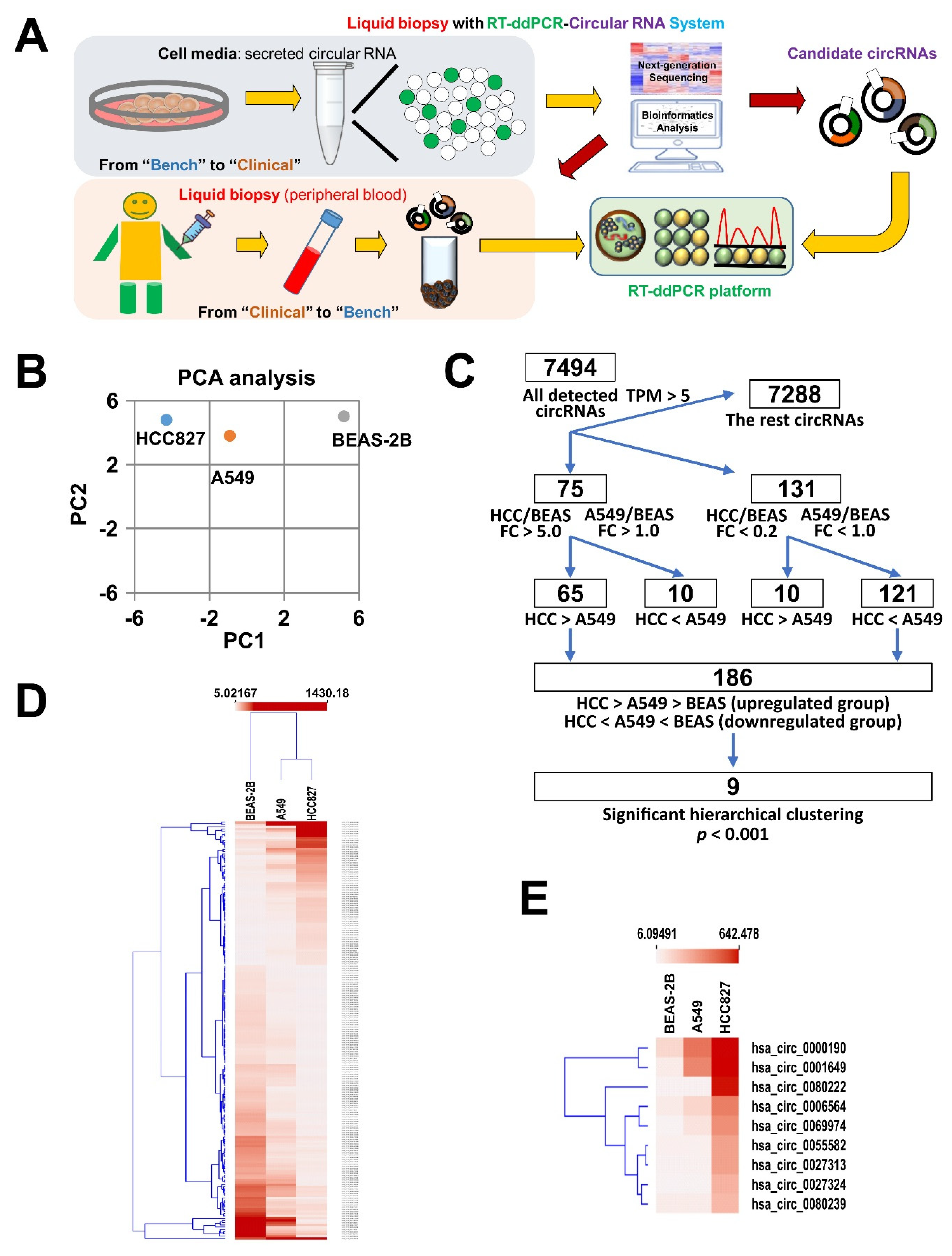 Cancers 12 01740 g001 Cancers 12 01740 g001