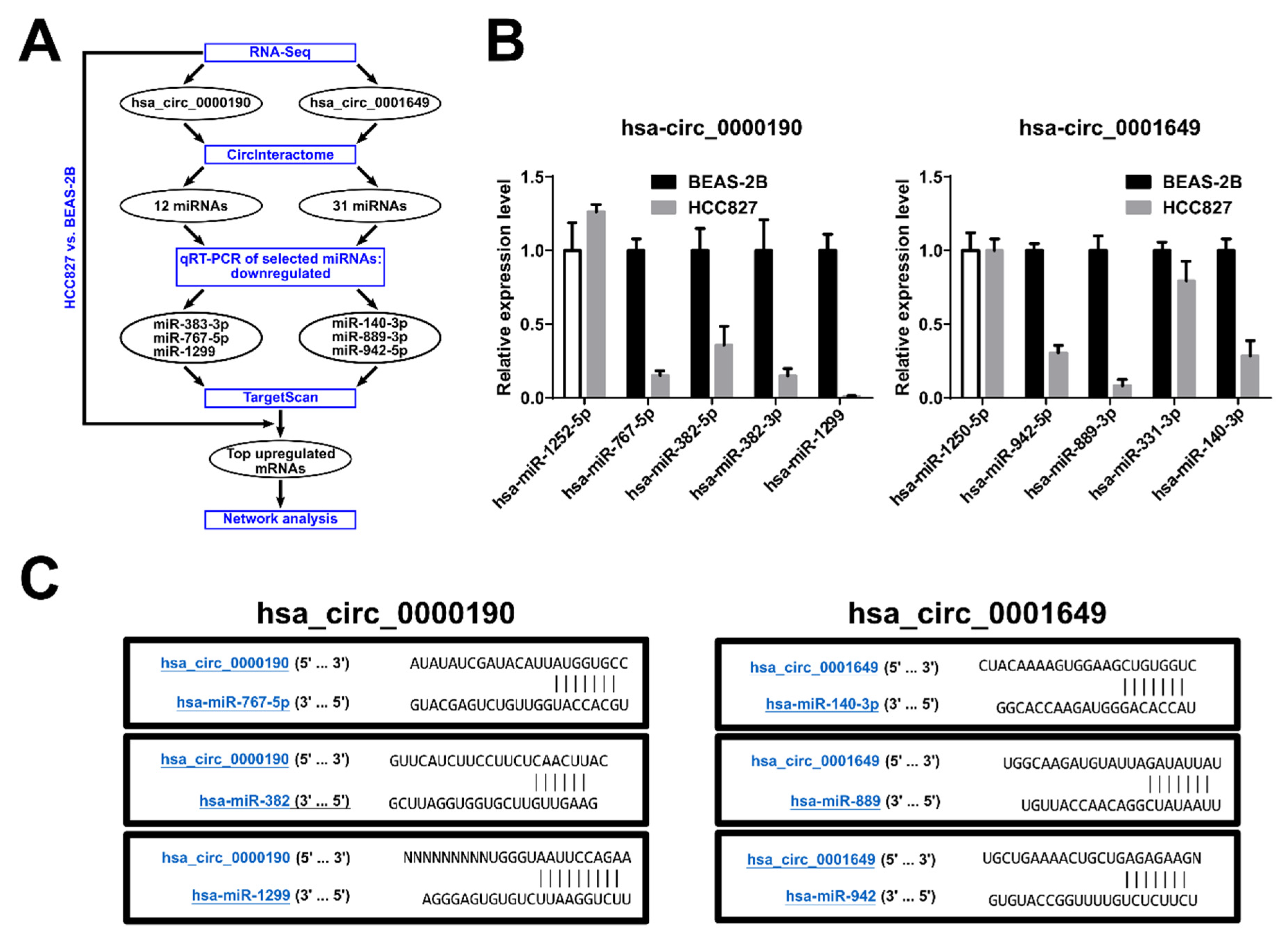 Cancers 12 01740 g007 Cancers 12 01740 g007
