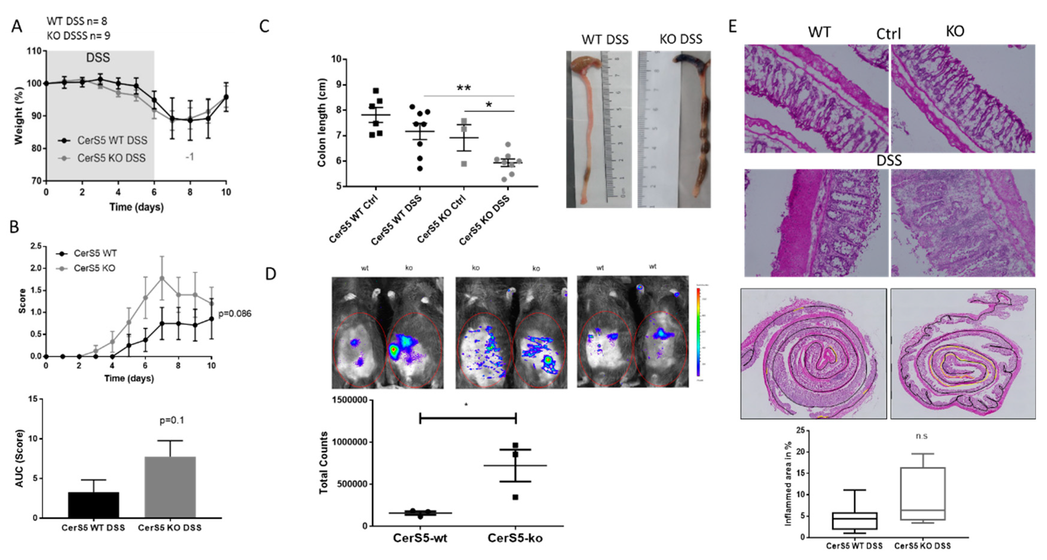 Cancers 12 01753 g001