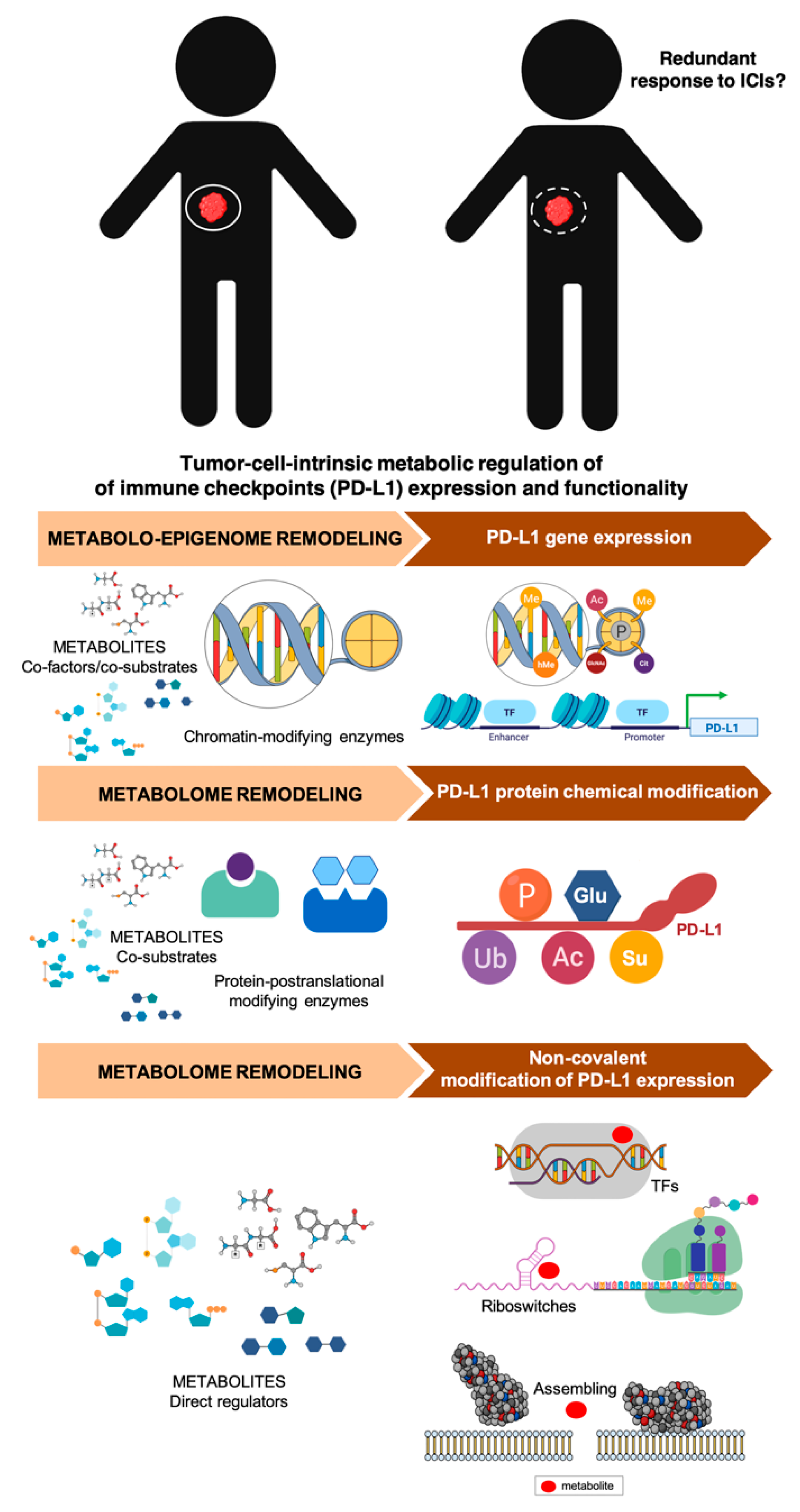 Cancers 12 01757 g006