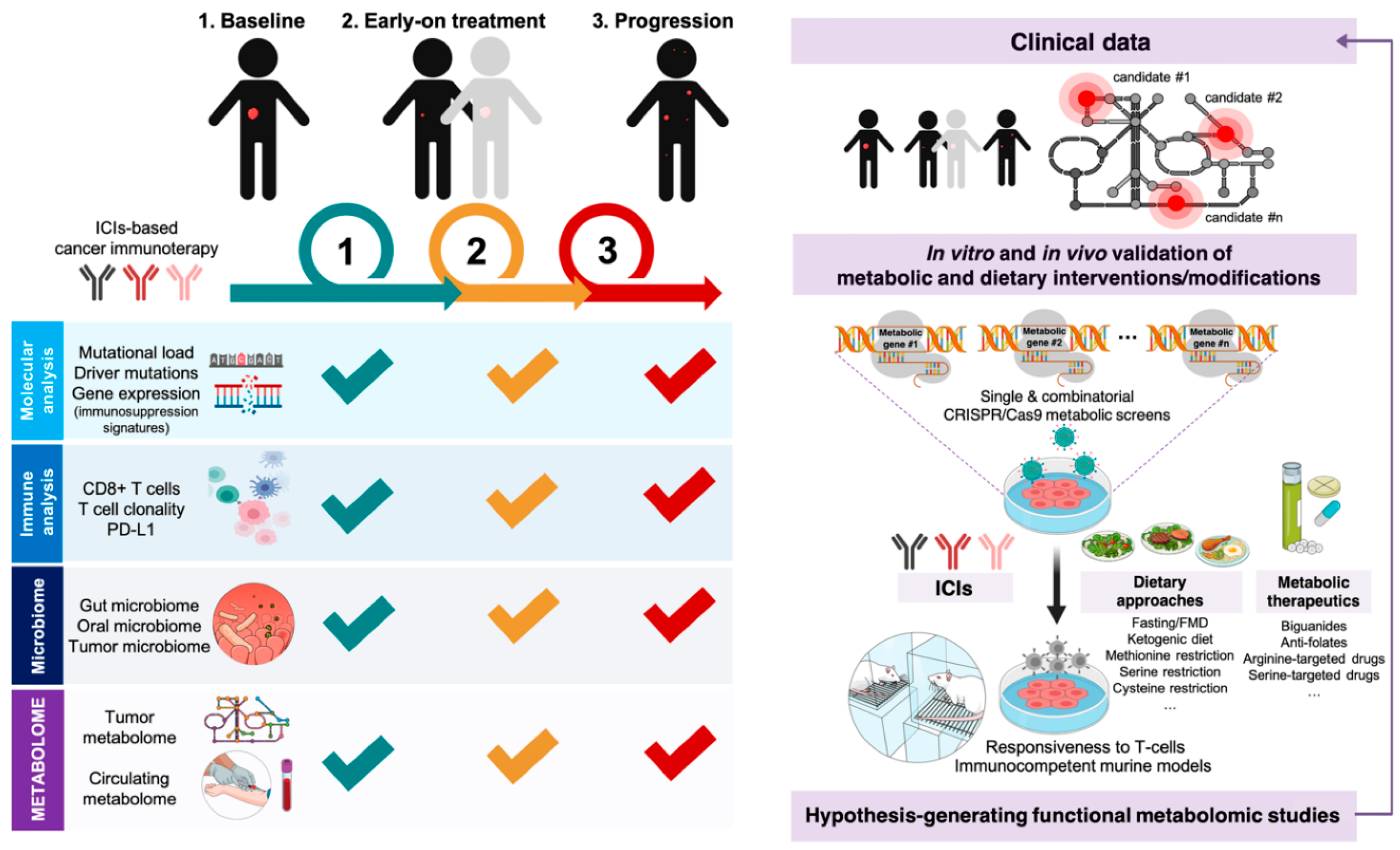 Cancers 12 01757 g007