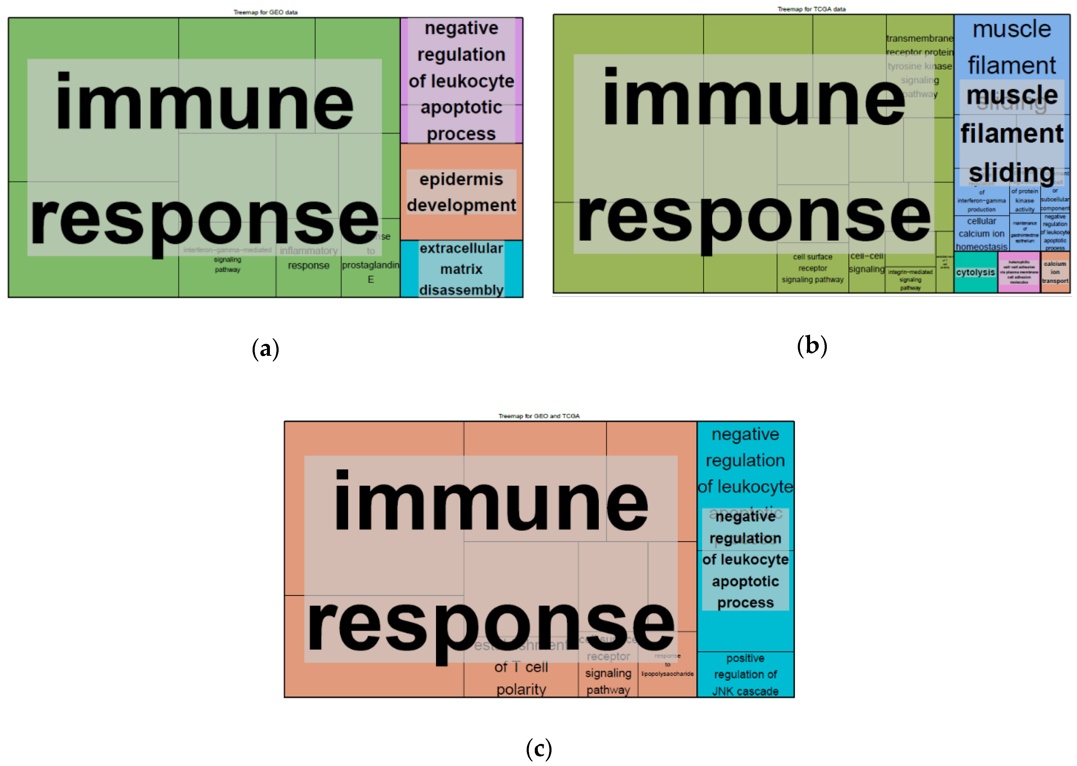 Cancers 12 01777 g004 Cancers 12 01777 g004