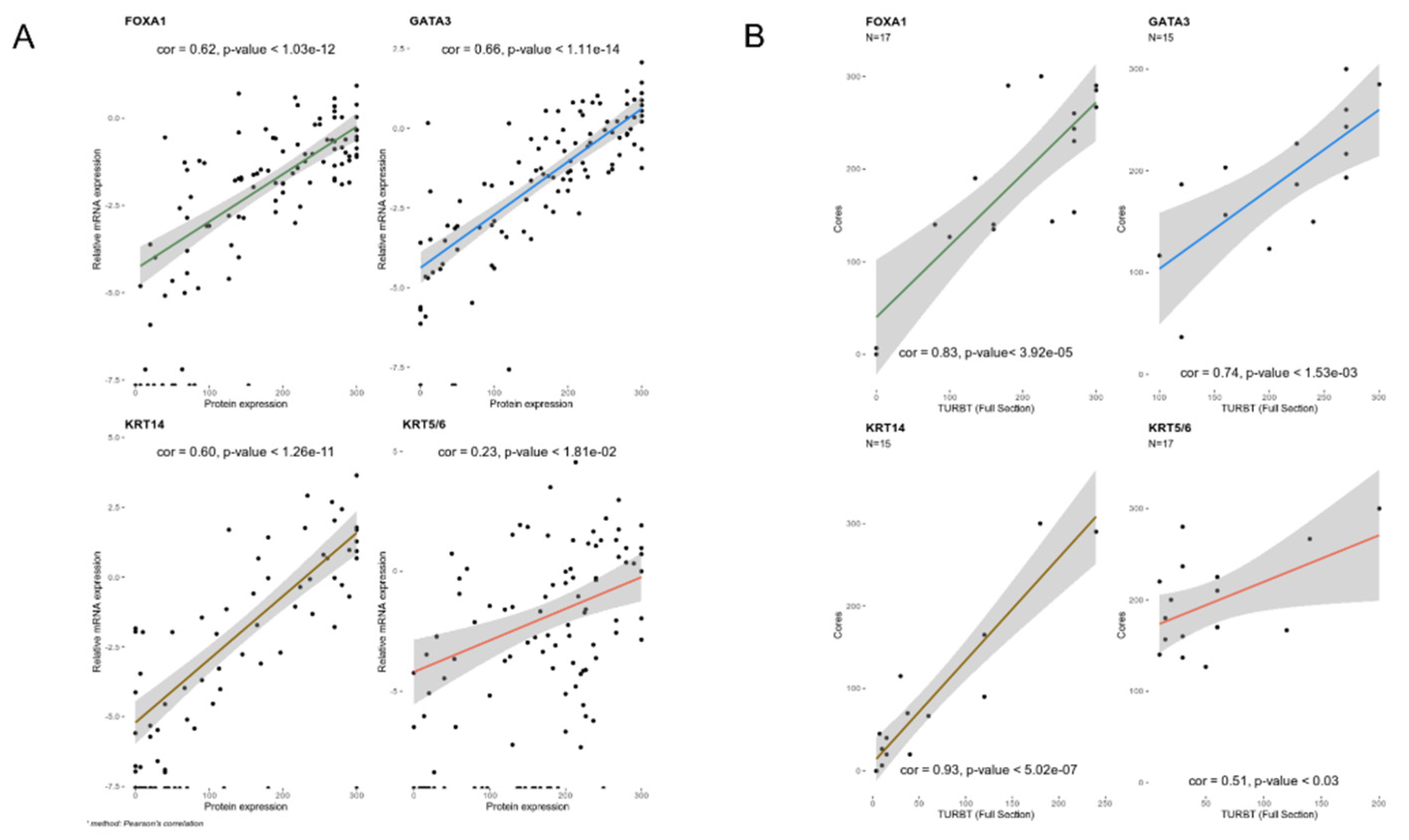 Cancers 12 01784 g001 Cancers 12 01784 g001