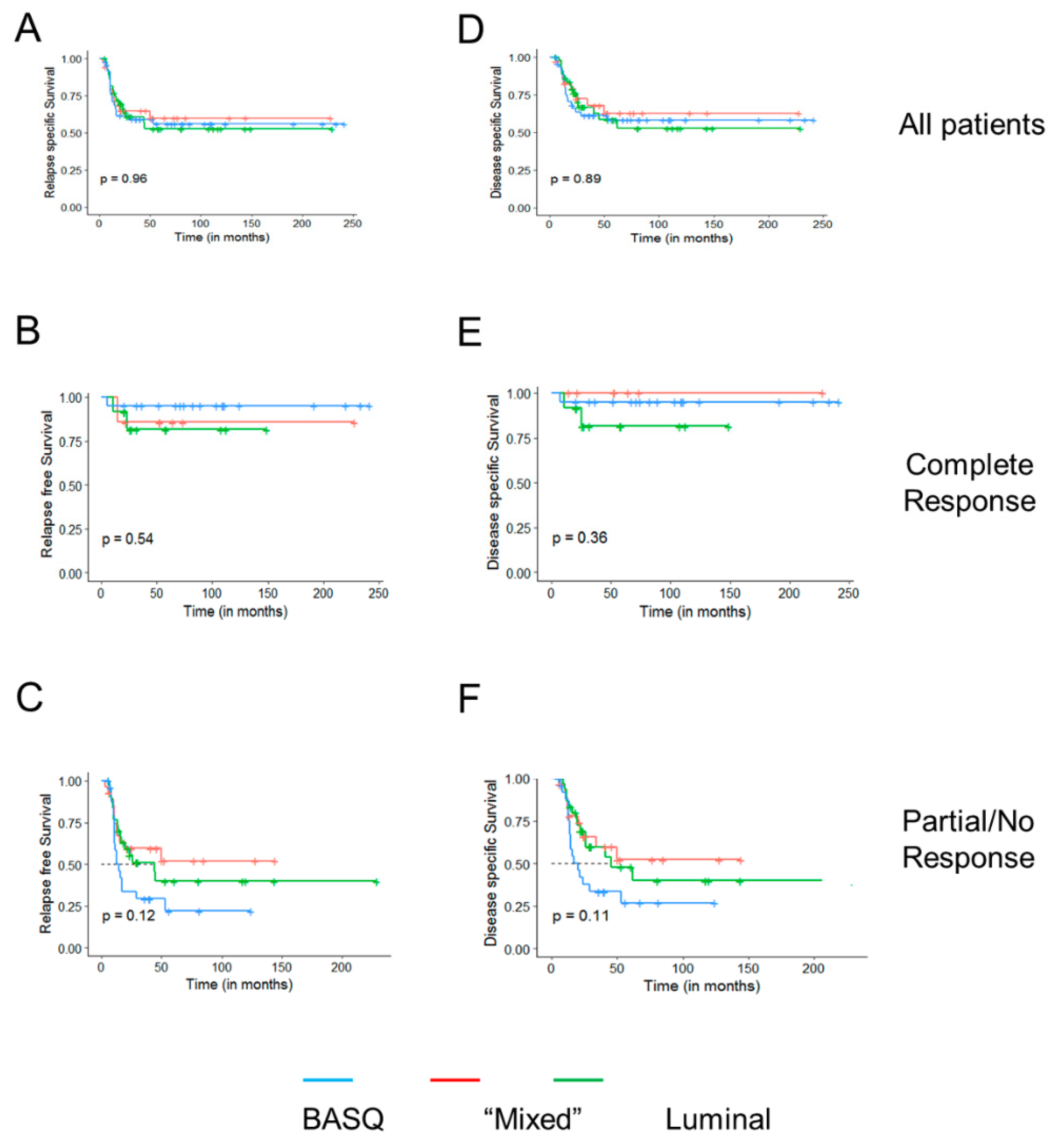 Cancers 12 01784 g003 Cancers 12 01784 g003