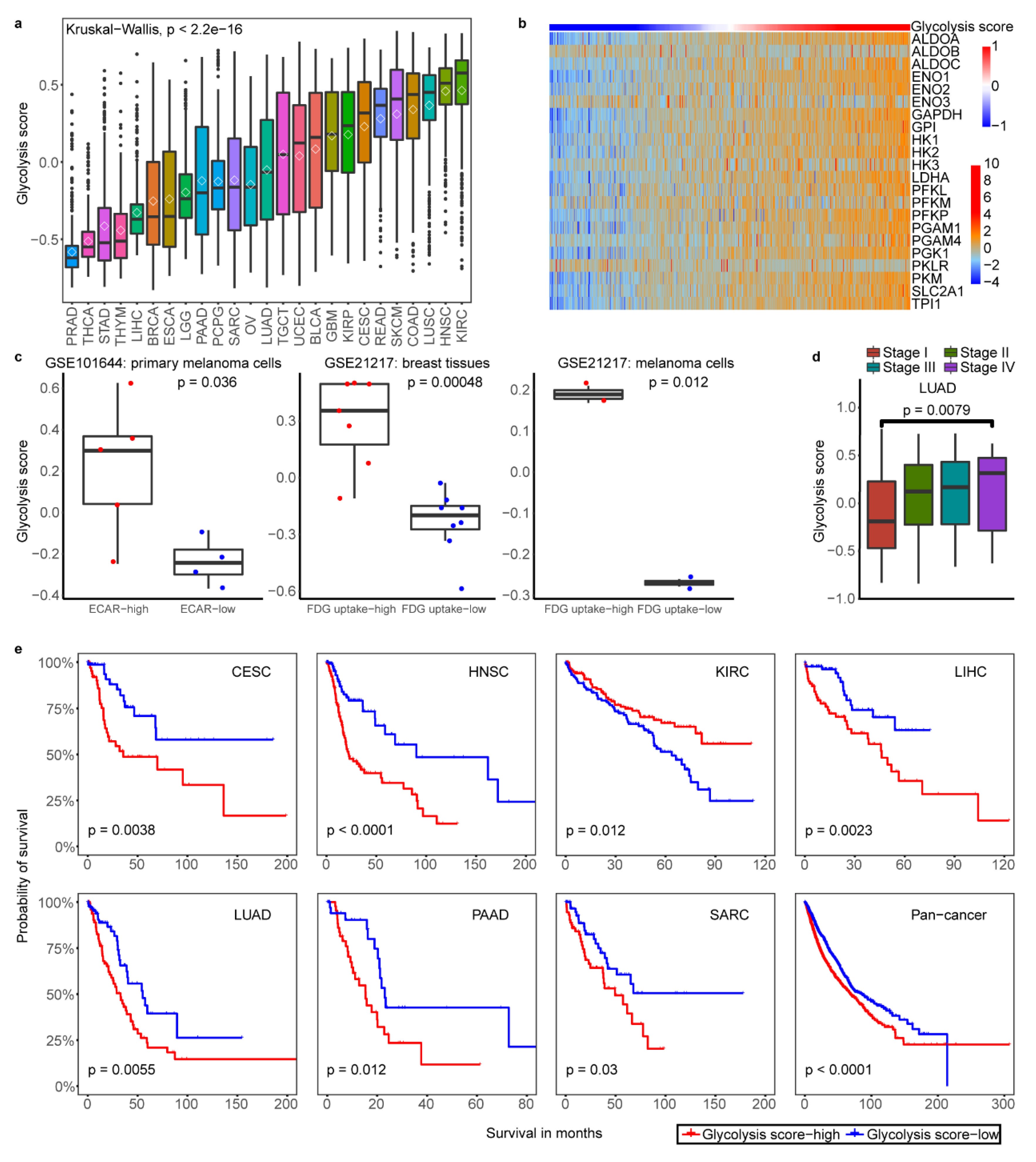 Cancers 12 01788 g001 Cancers 12 01788 g001