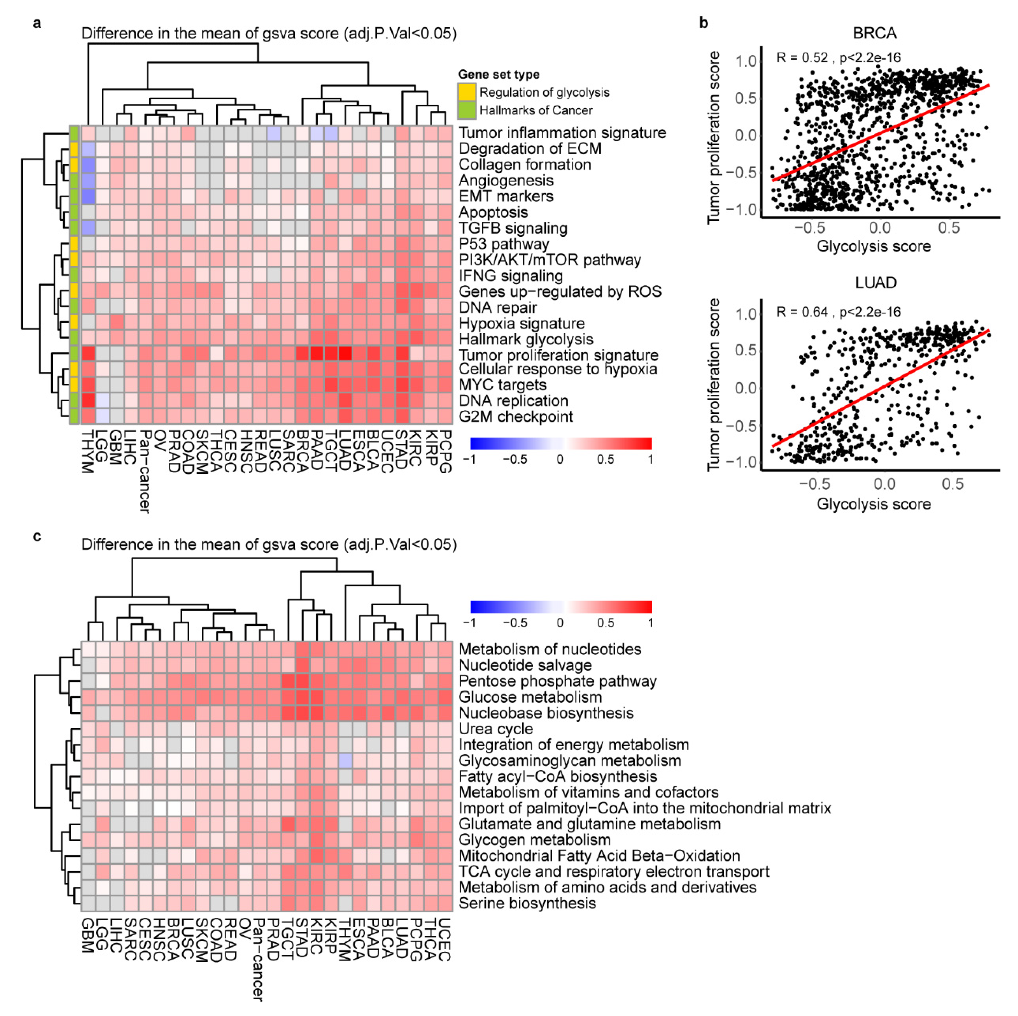 Cancers 12 01788 g003 Cancers 12 01788 g003