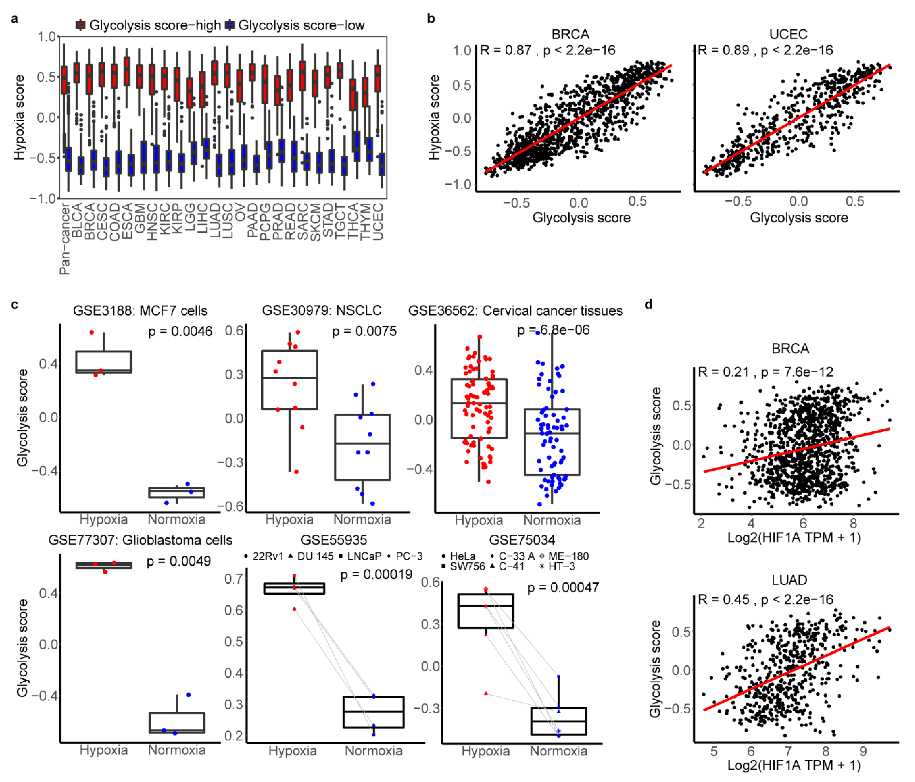 Cancers 12 01788 g004 Cancers 12 01788 g004