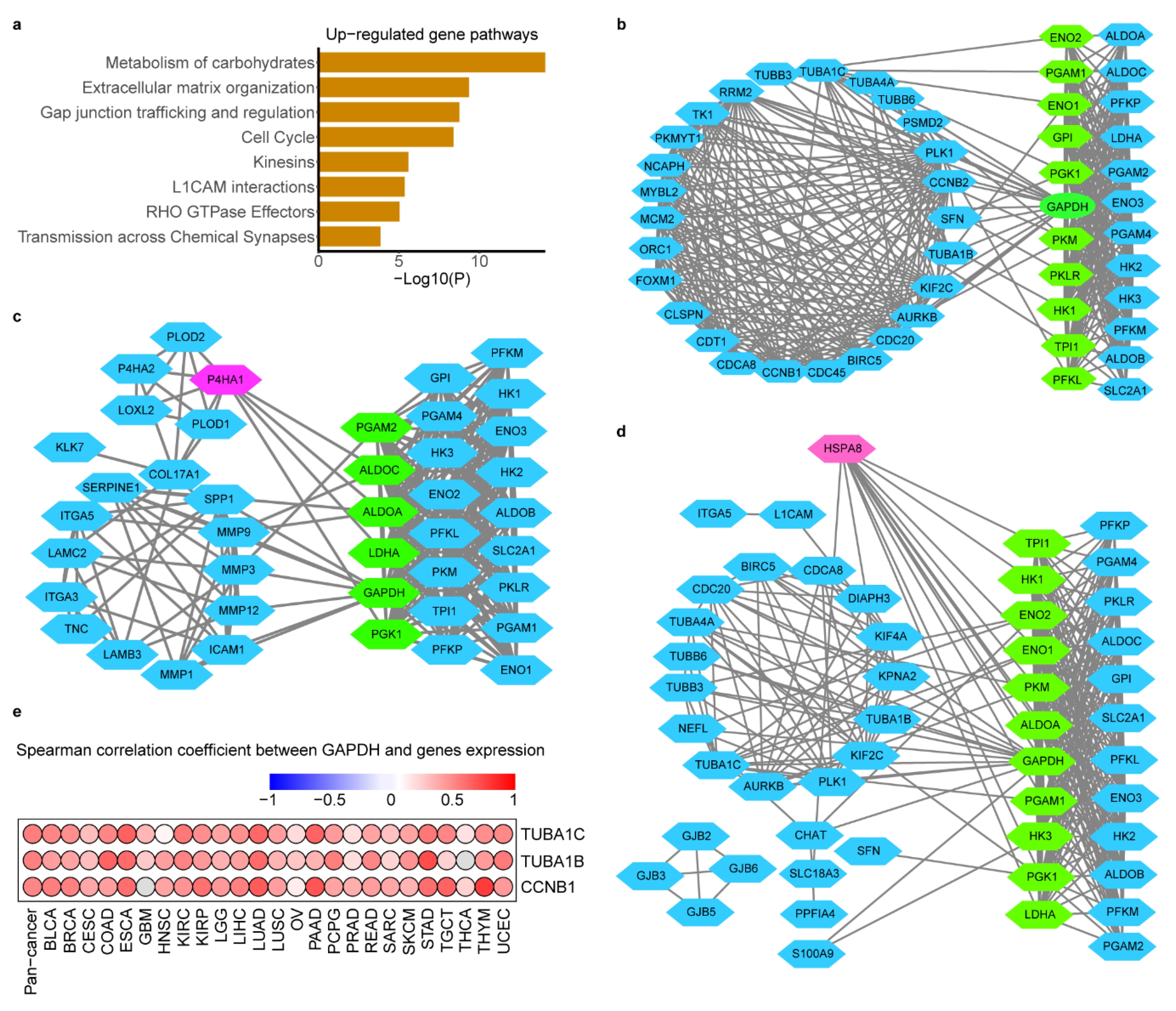 Cancers 12 01788 g005 Cancers 12 01788 g005