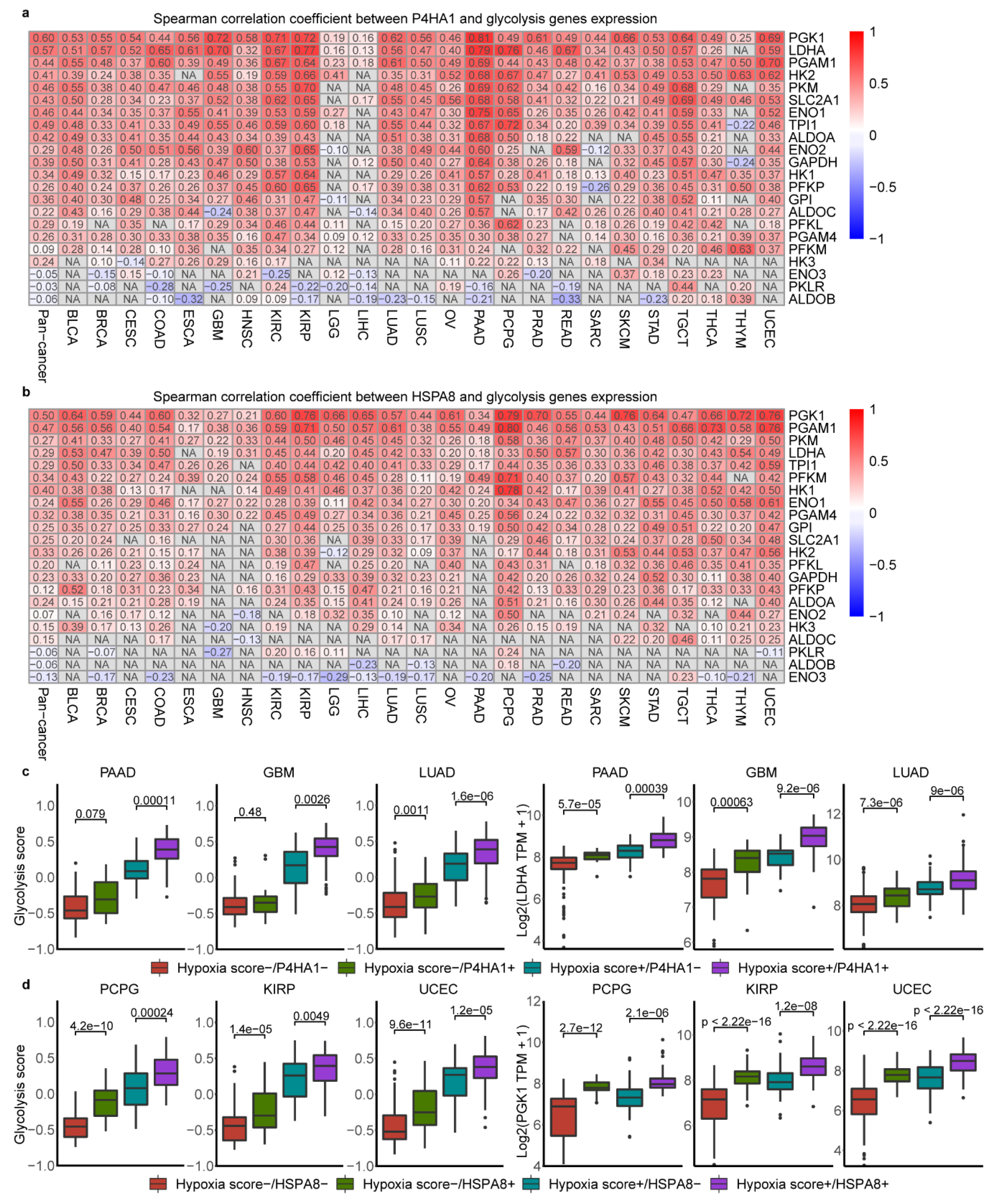Cancers 12 01788 g006 Cancers 12 01788 g006