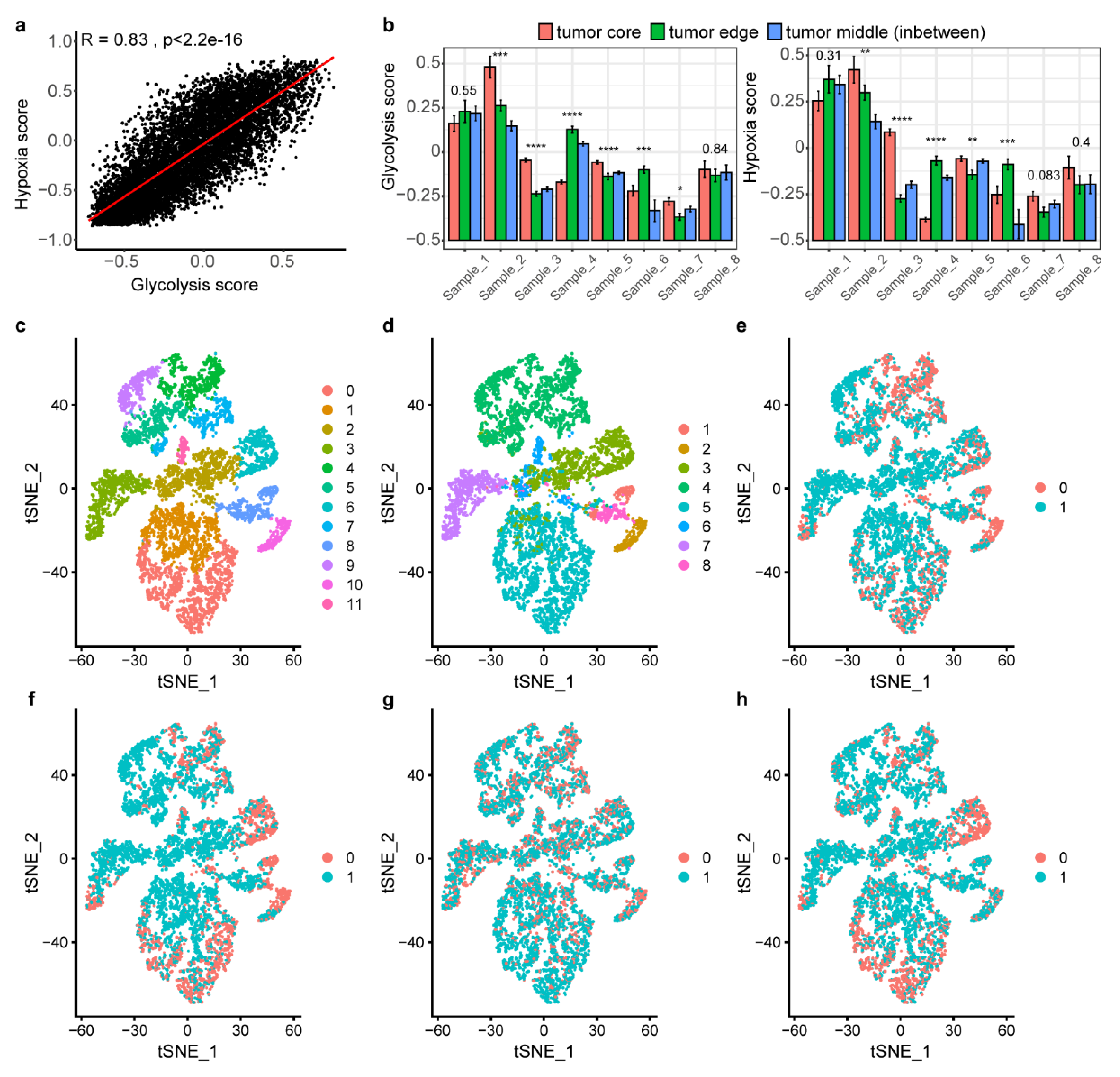 Cancers 12 01788 g007 Cancers 12 01788 g007