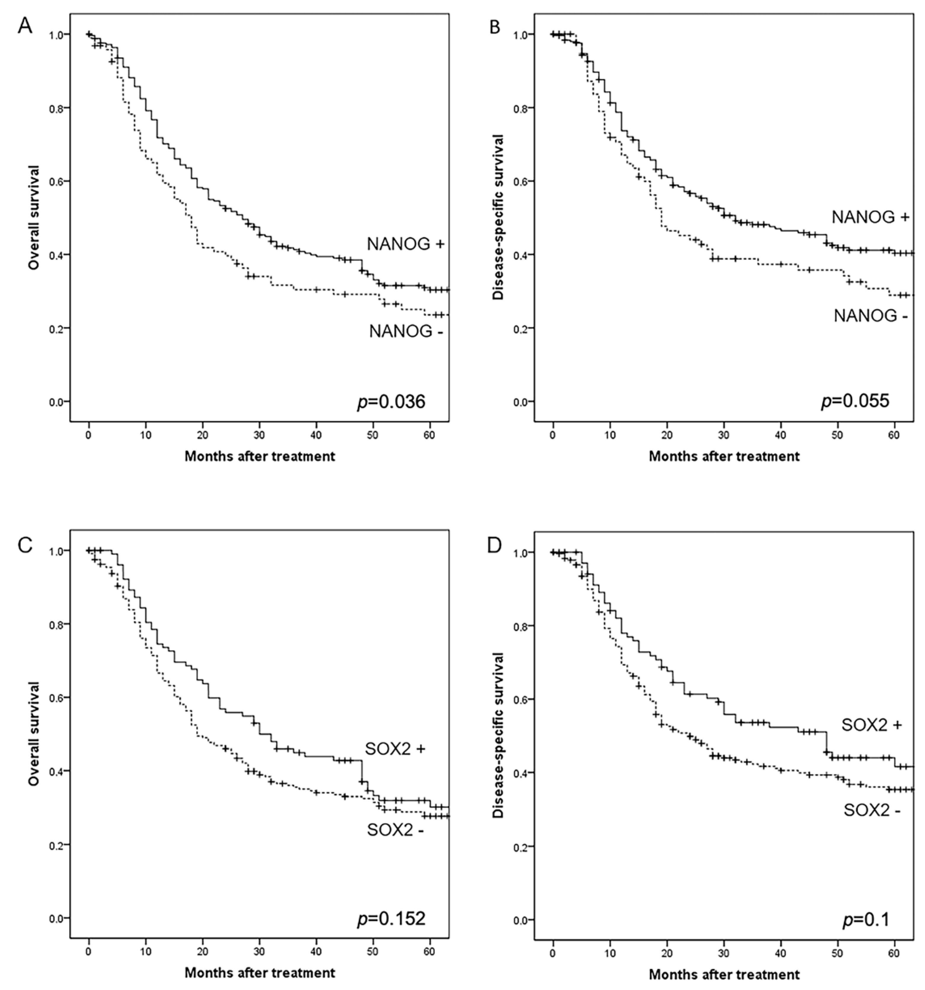 Cancers 12 01794 g002 Cancers 12 01794 g002