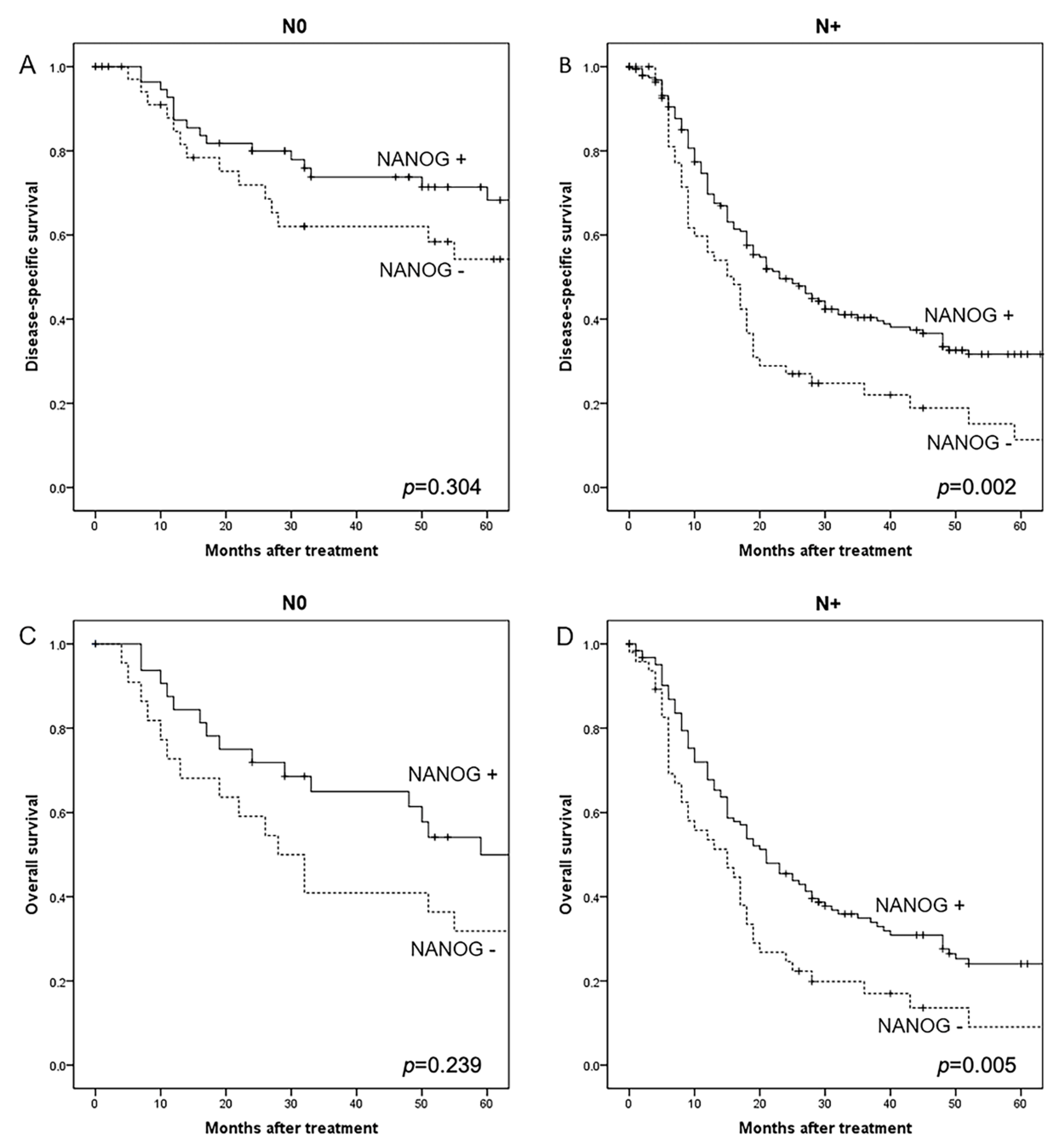 Cancers 12 01794 g003 Cancers 12 01794 g003