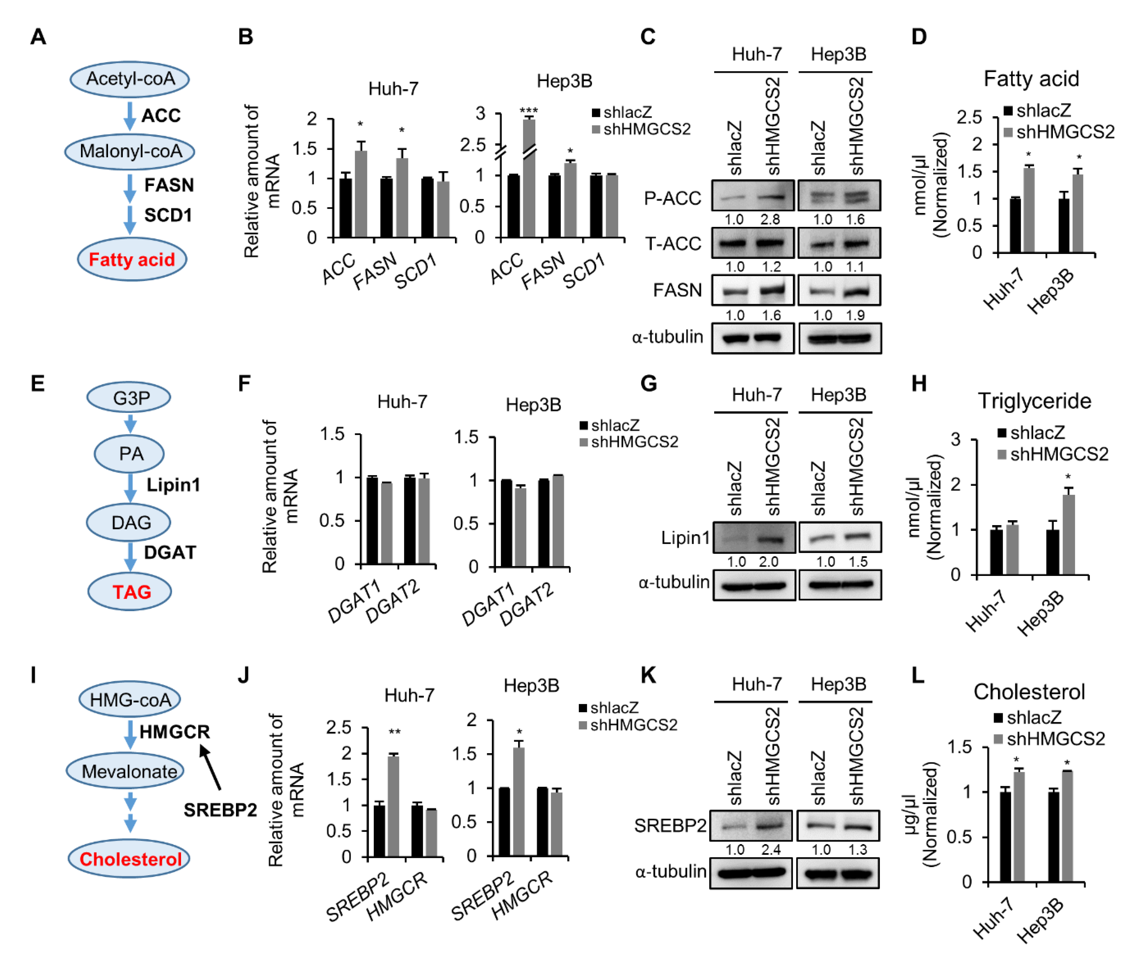 Cancers 12 01797 g003